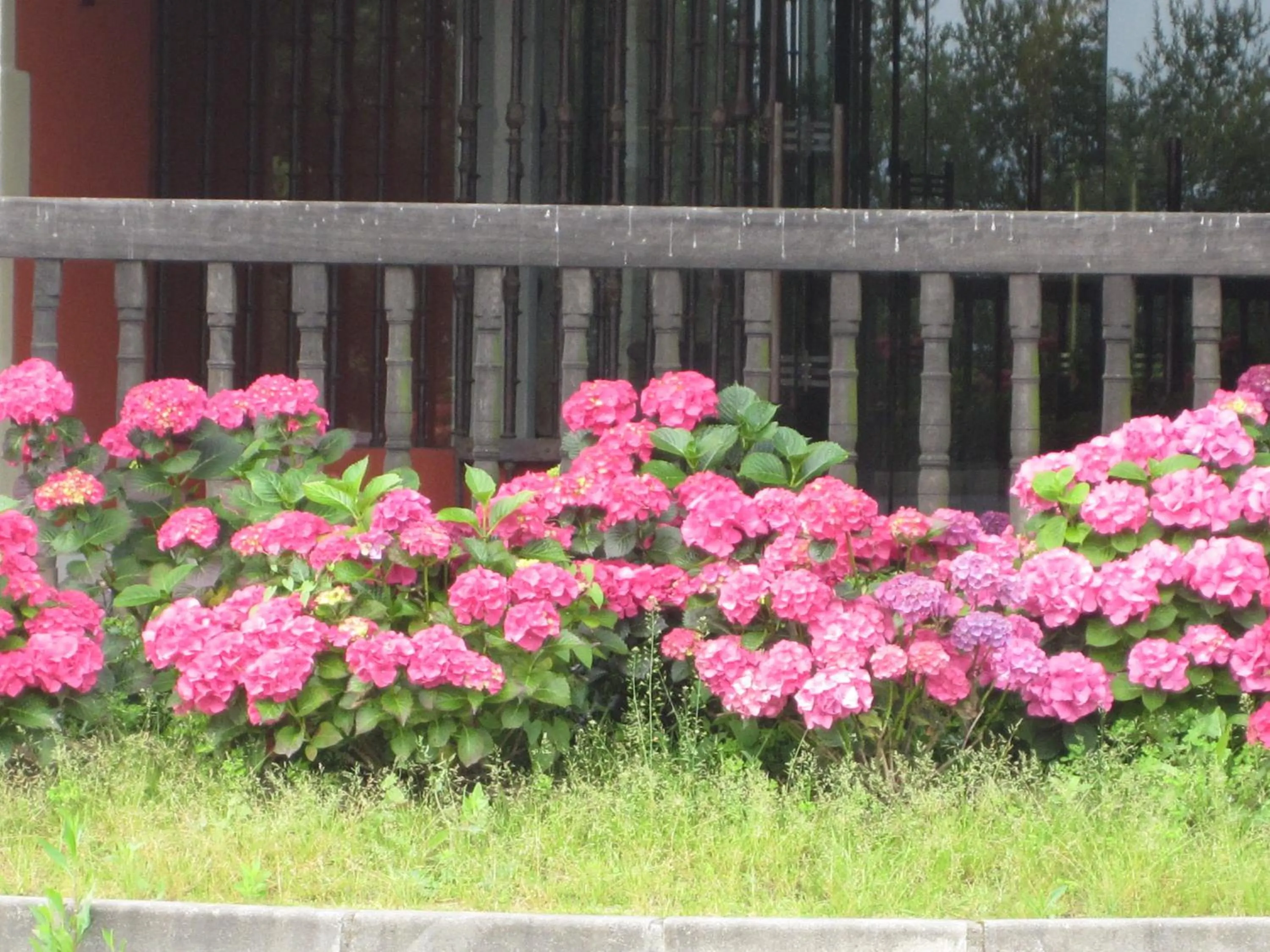 Decorative detail in Hotel Palacio Urgoiti
