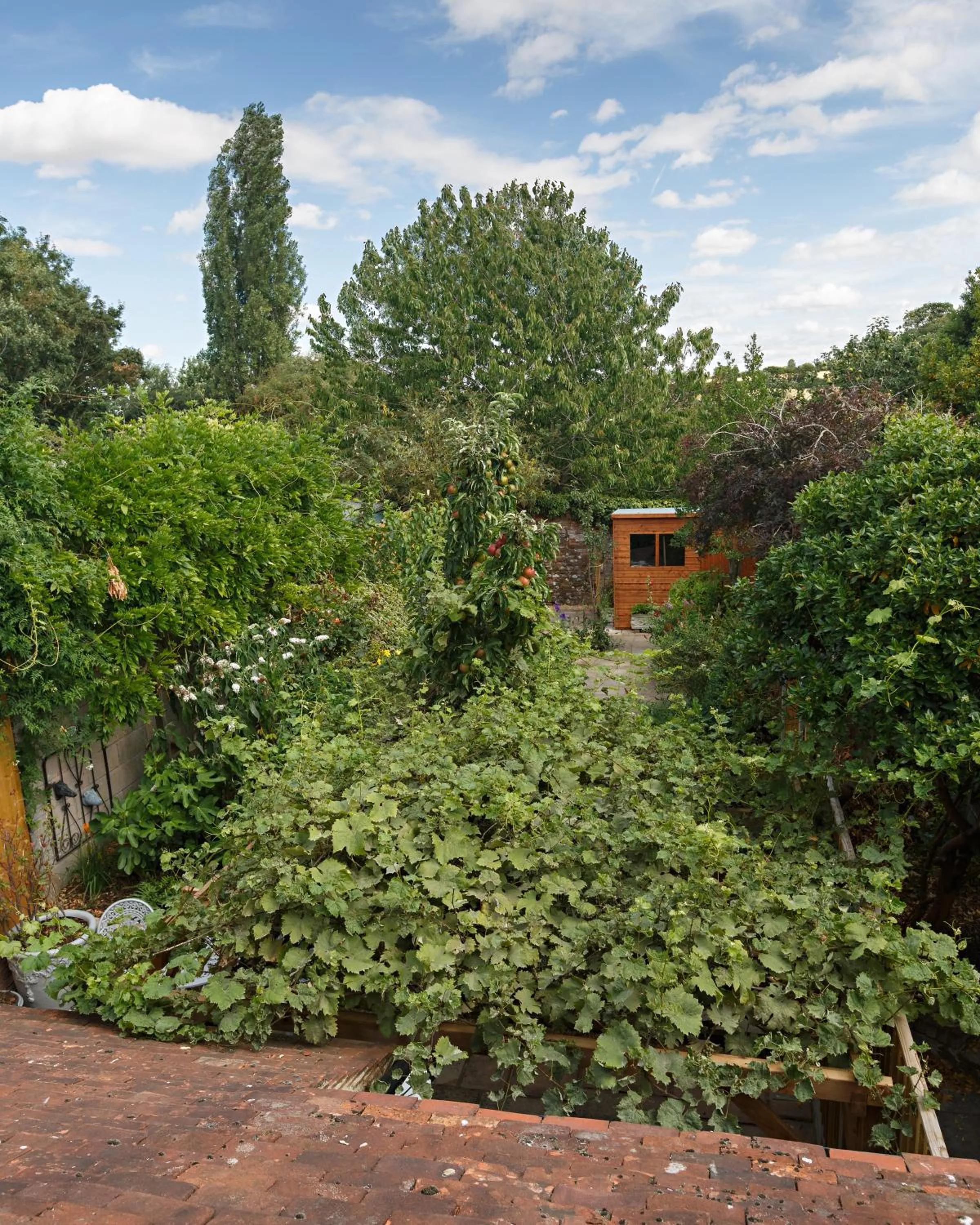 View (from property/room) in Georgina