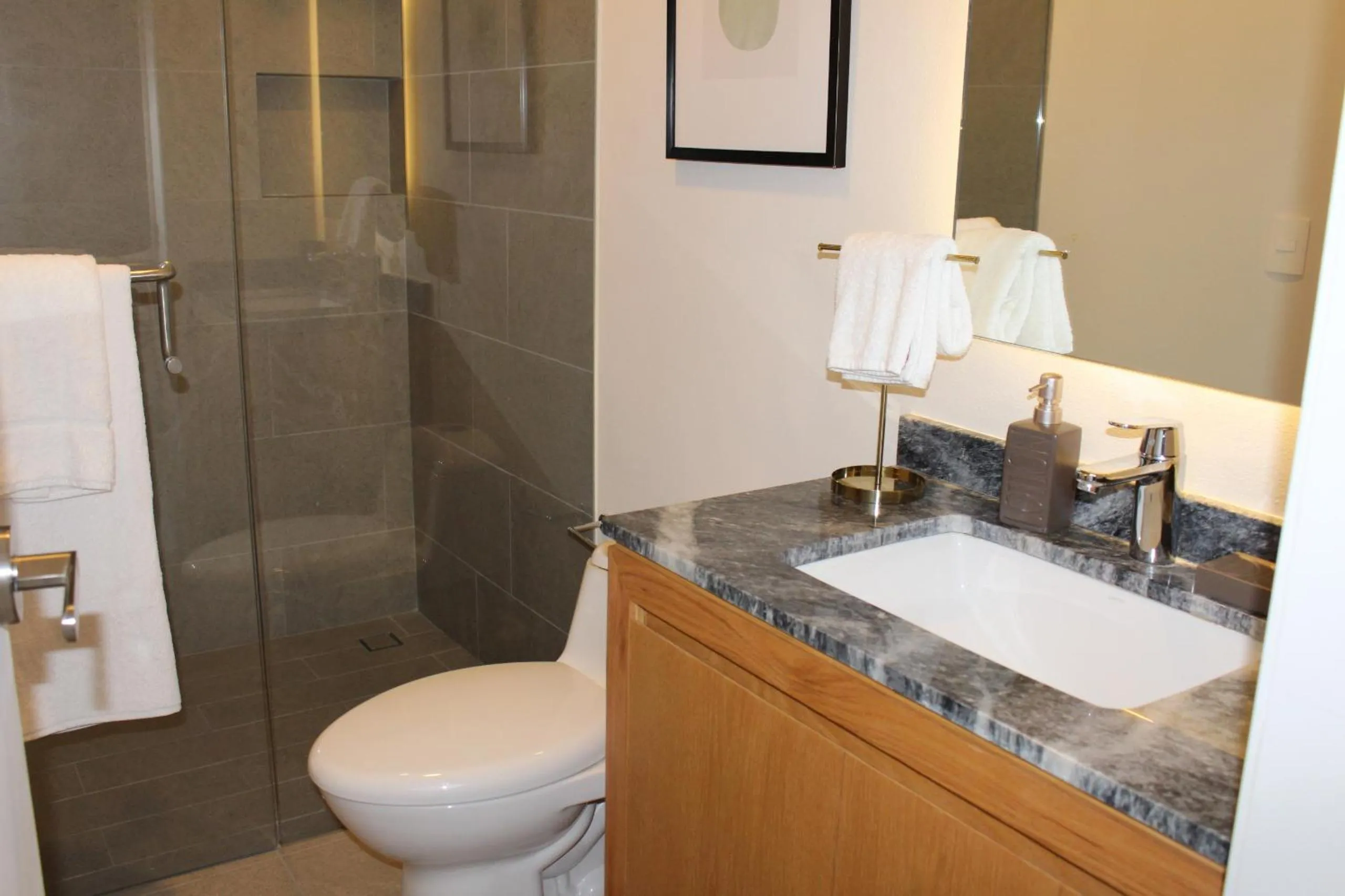 Bathroom in 105 Downtown