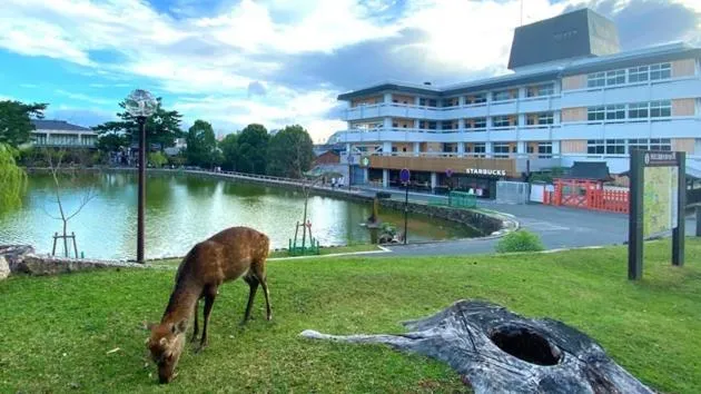 Property building in Hotel Tenpyo Naramachi - Vacation STAY 59515v