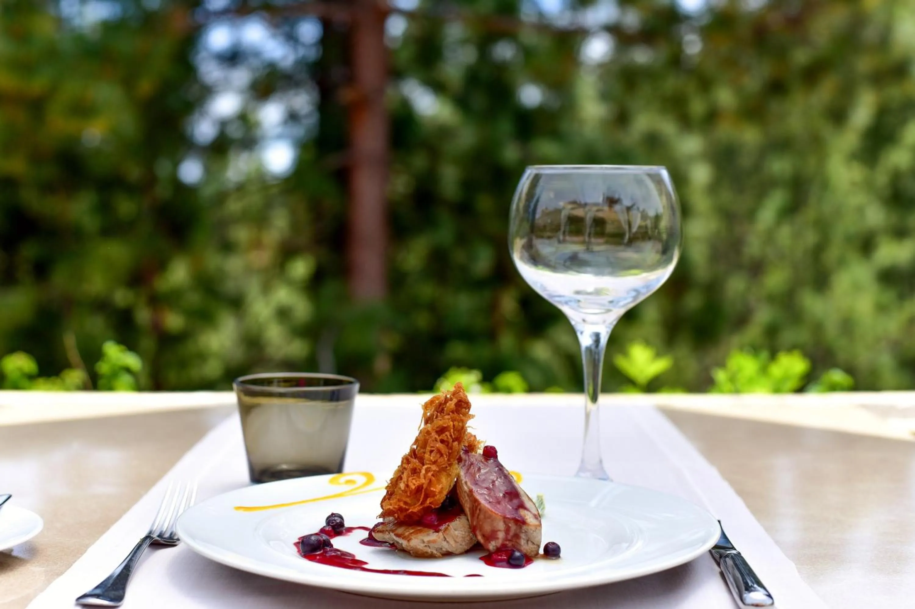 Food and drinks in Hotel Spa Villalba