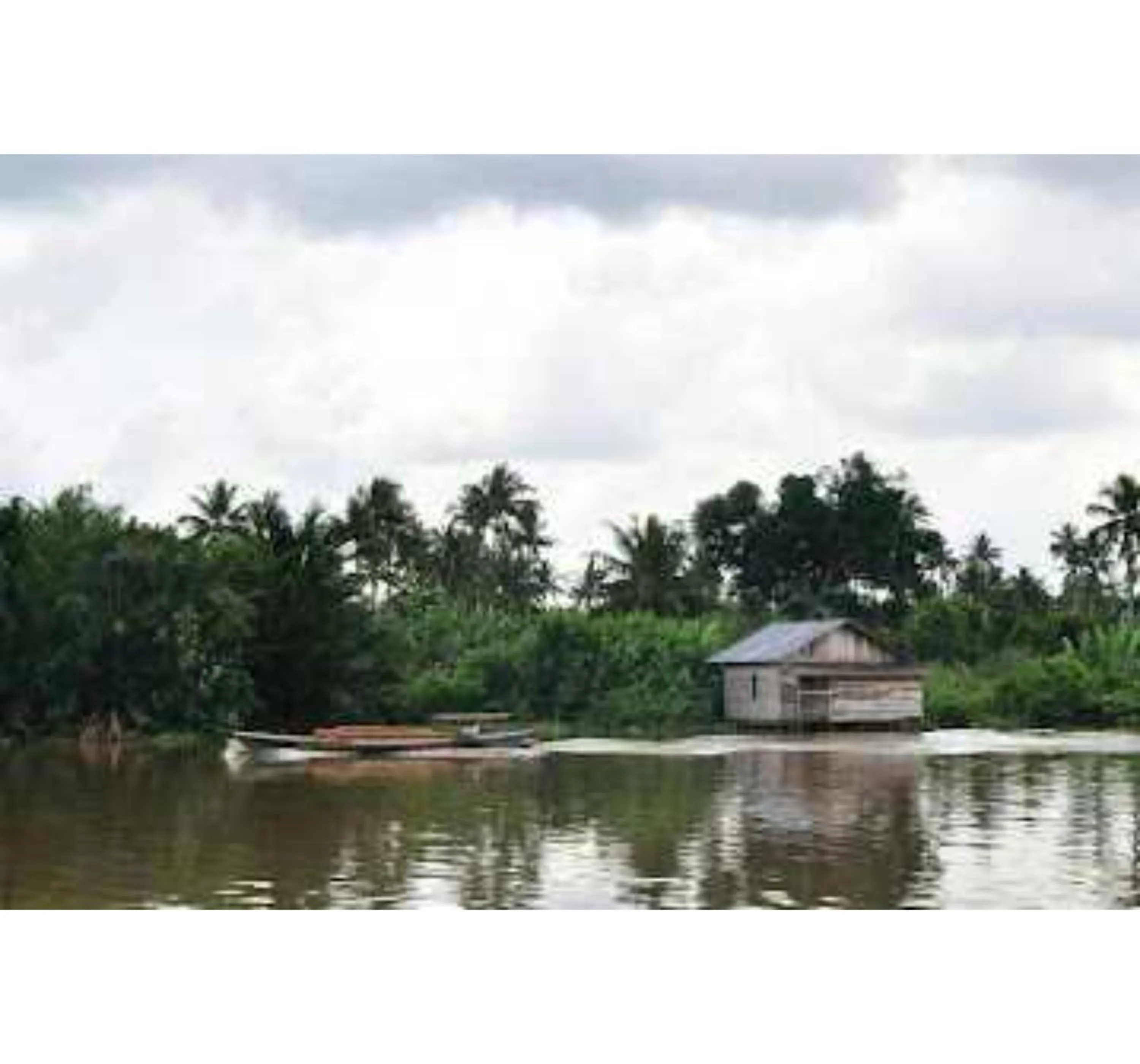 View (from property/room) in EXPRESS O 91674 Penginapan Bm Prima