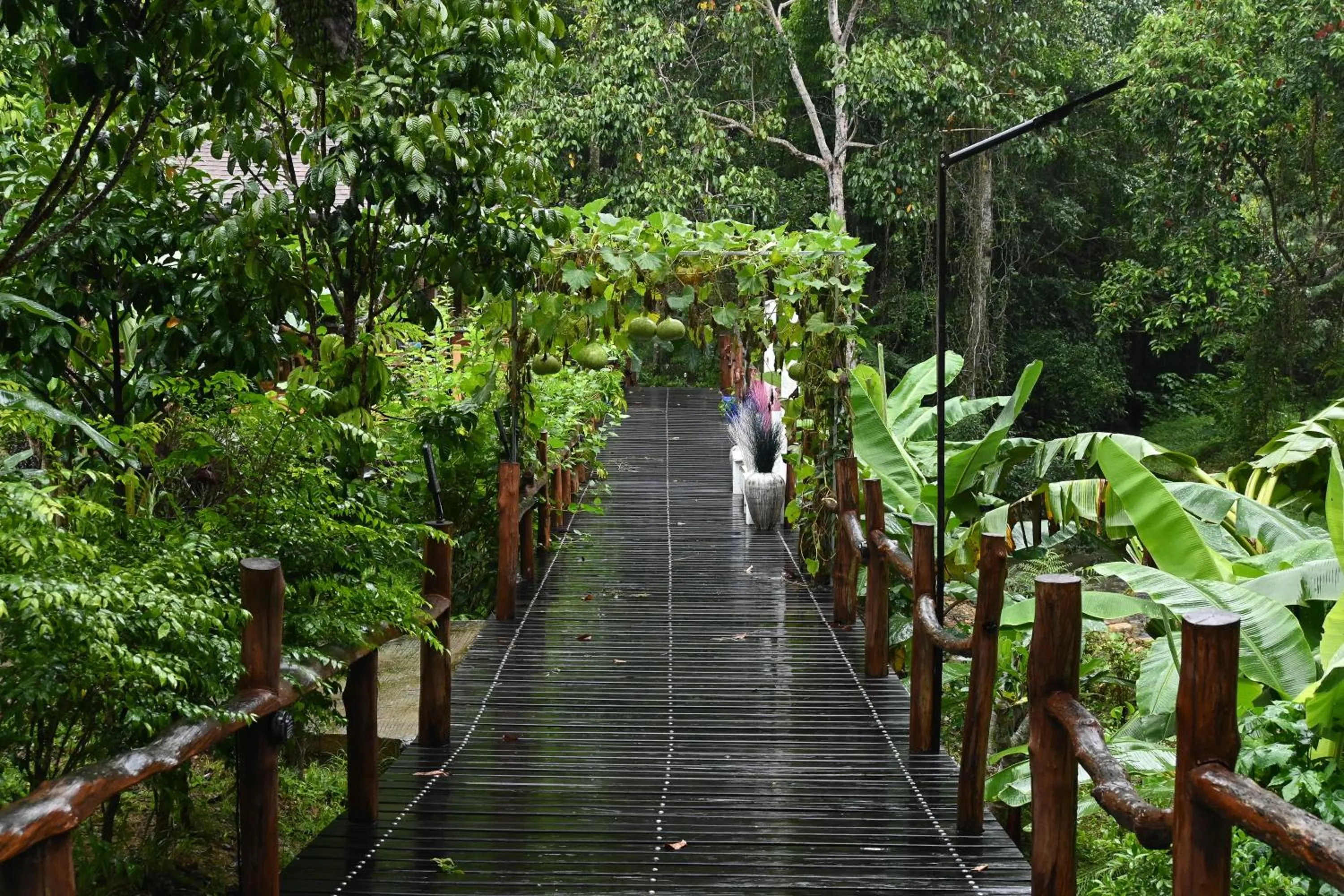 Natural landscape in Cascade Tara