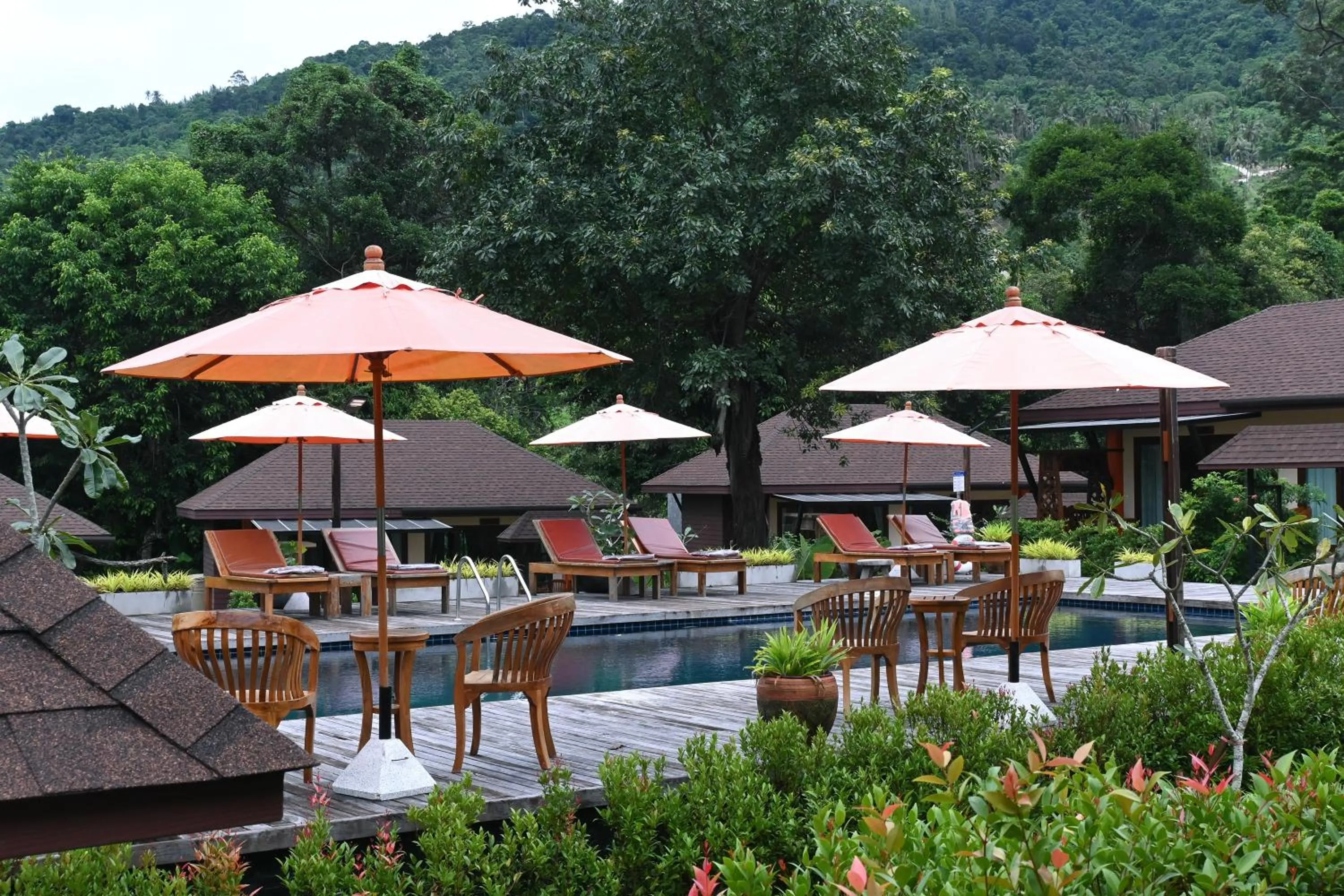 Natural landscape in Cascade Tara