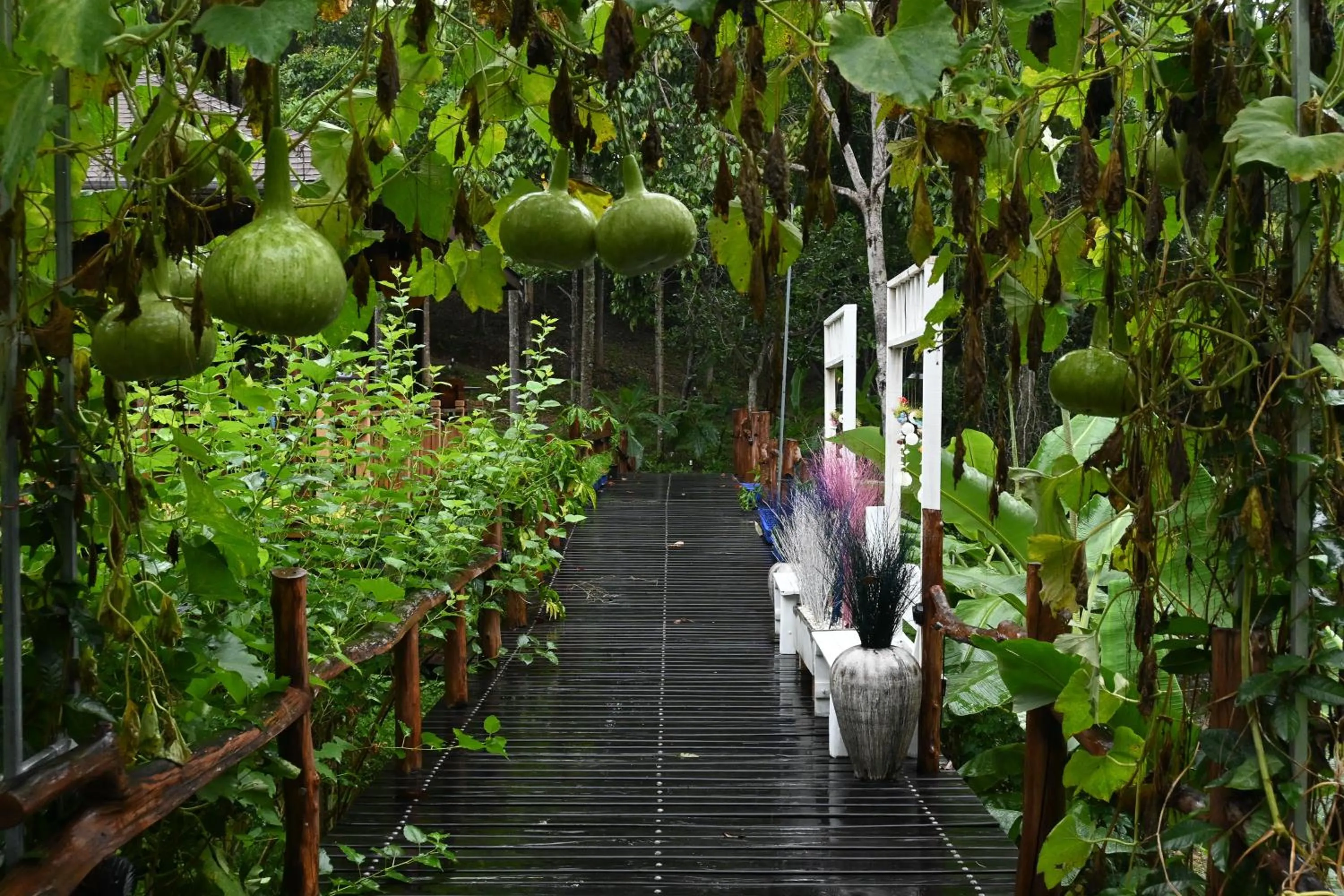 Natural landscape in Cascade Tara