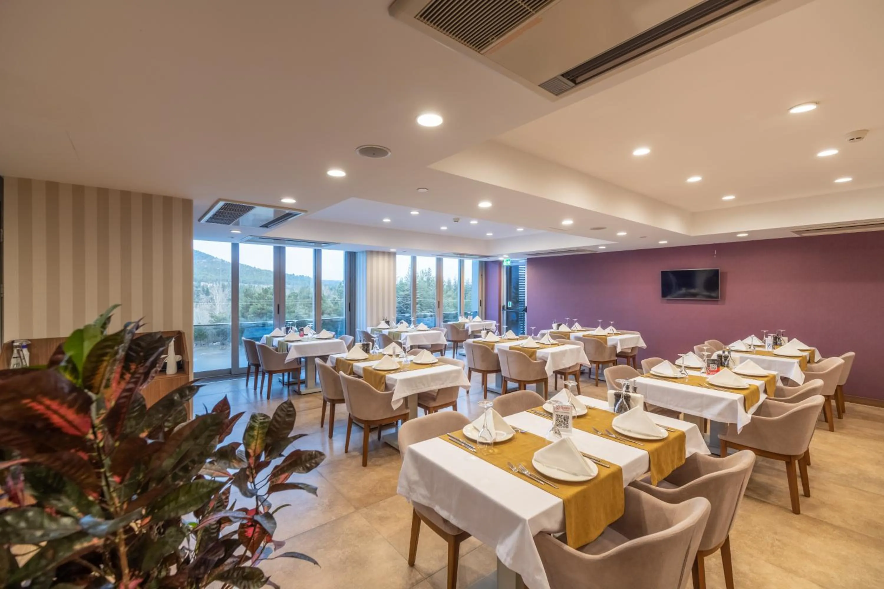 Restaurant/places to eat in Questa Thermal & Spa Hotel