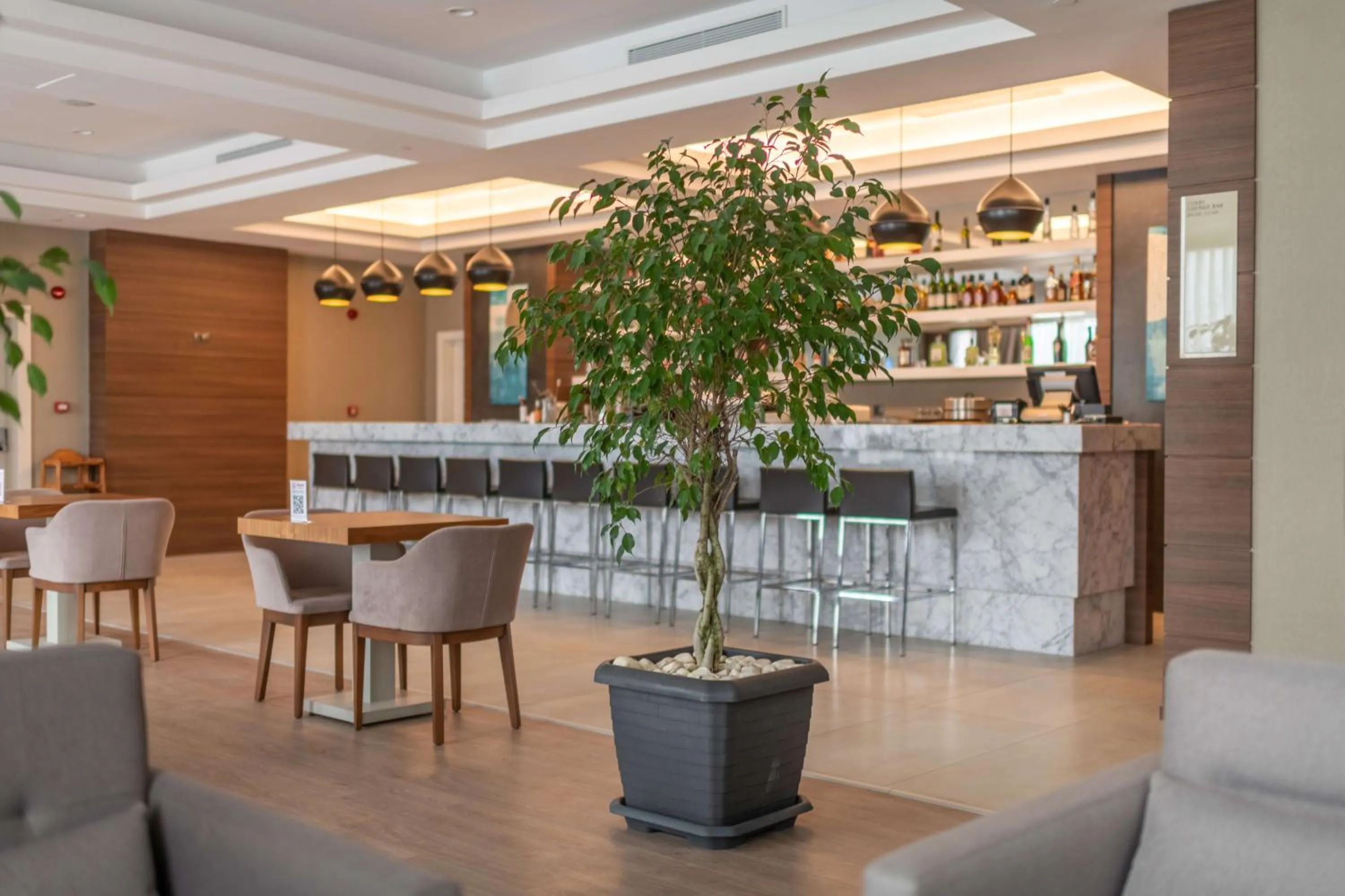 Restaurant/places to eat in Questa Thermal & Spa Hotel