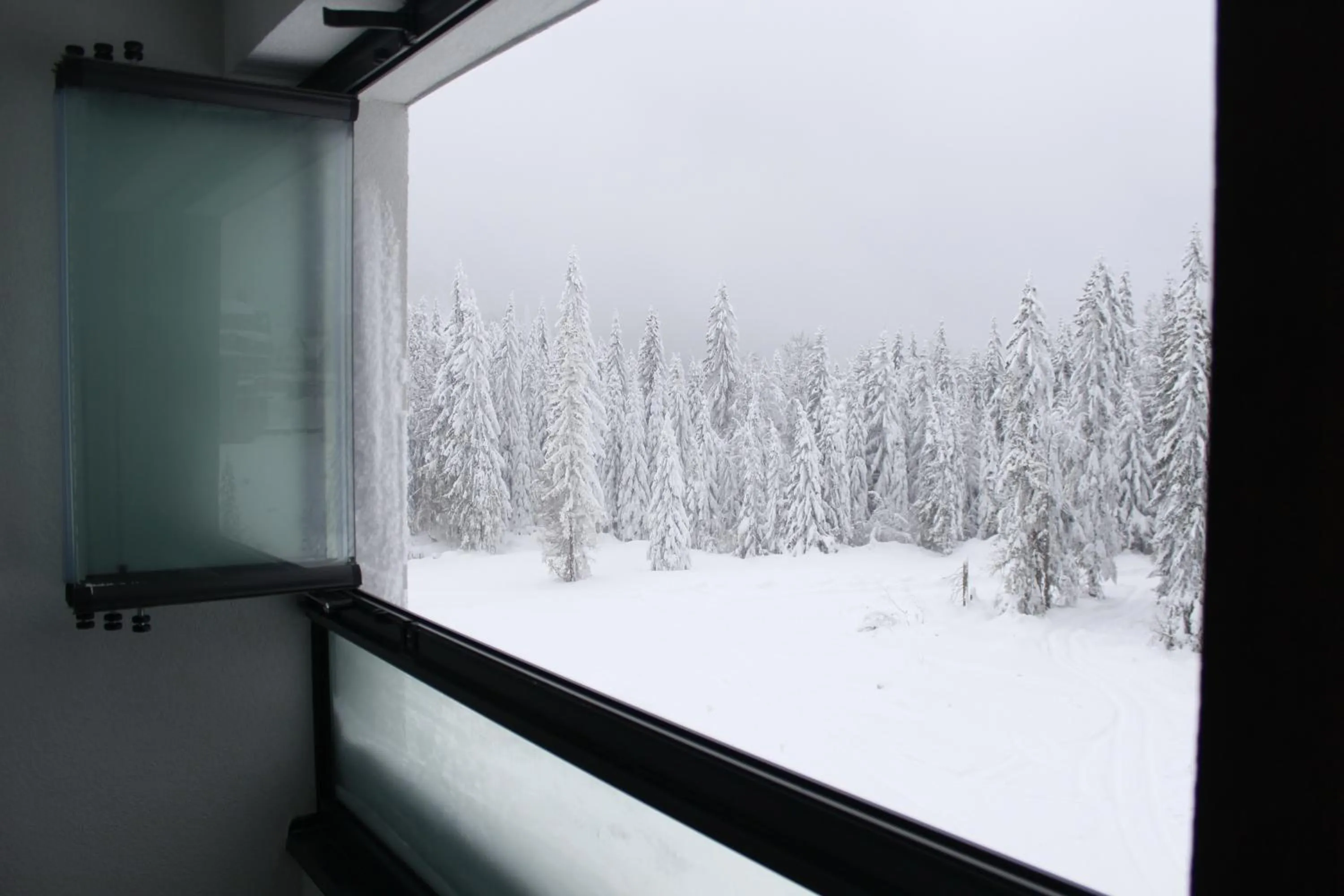 Natural landscape in Snjezna Dolina Resort - Jahorina