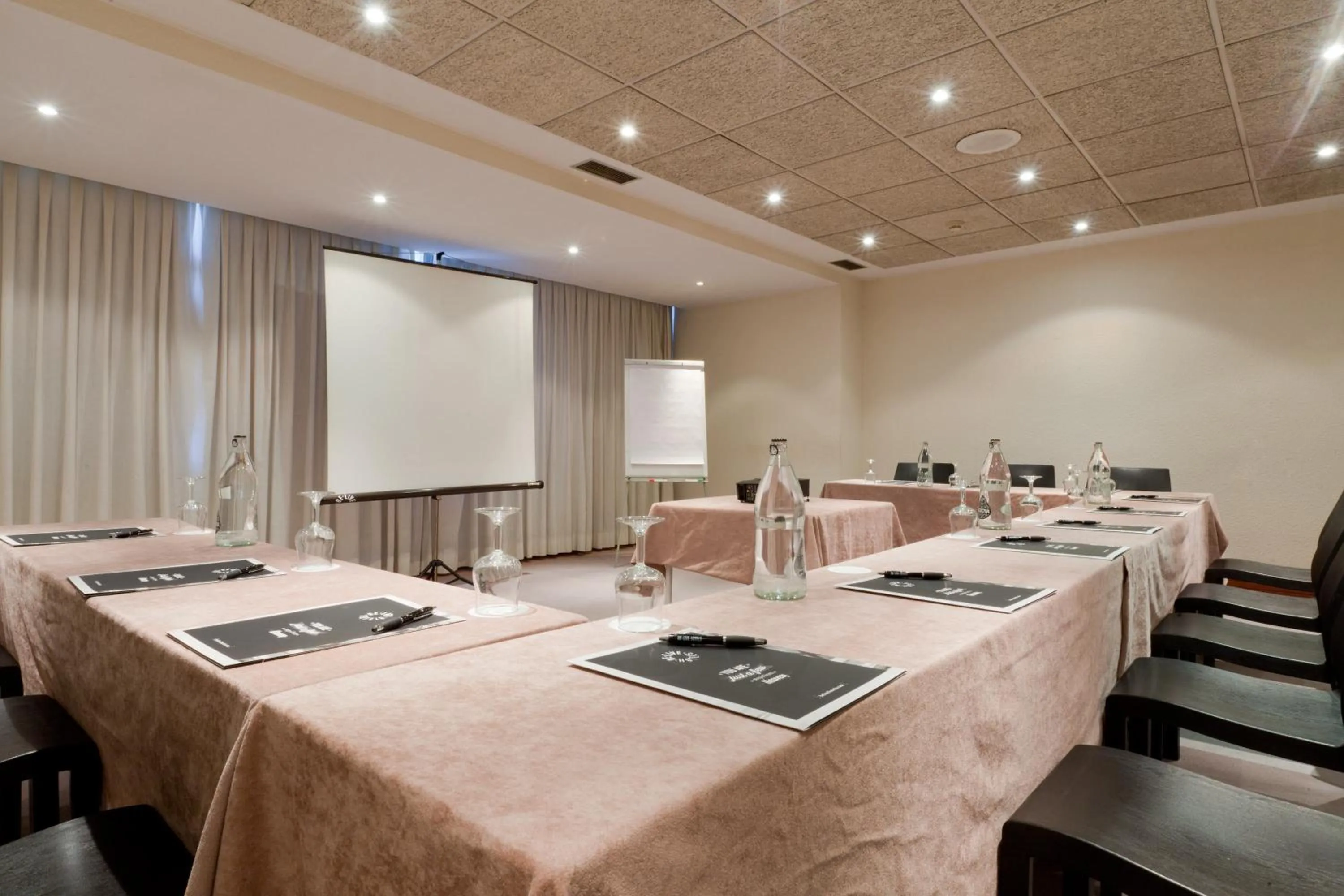 Other in Senator Barajas