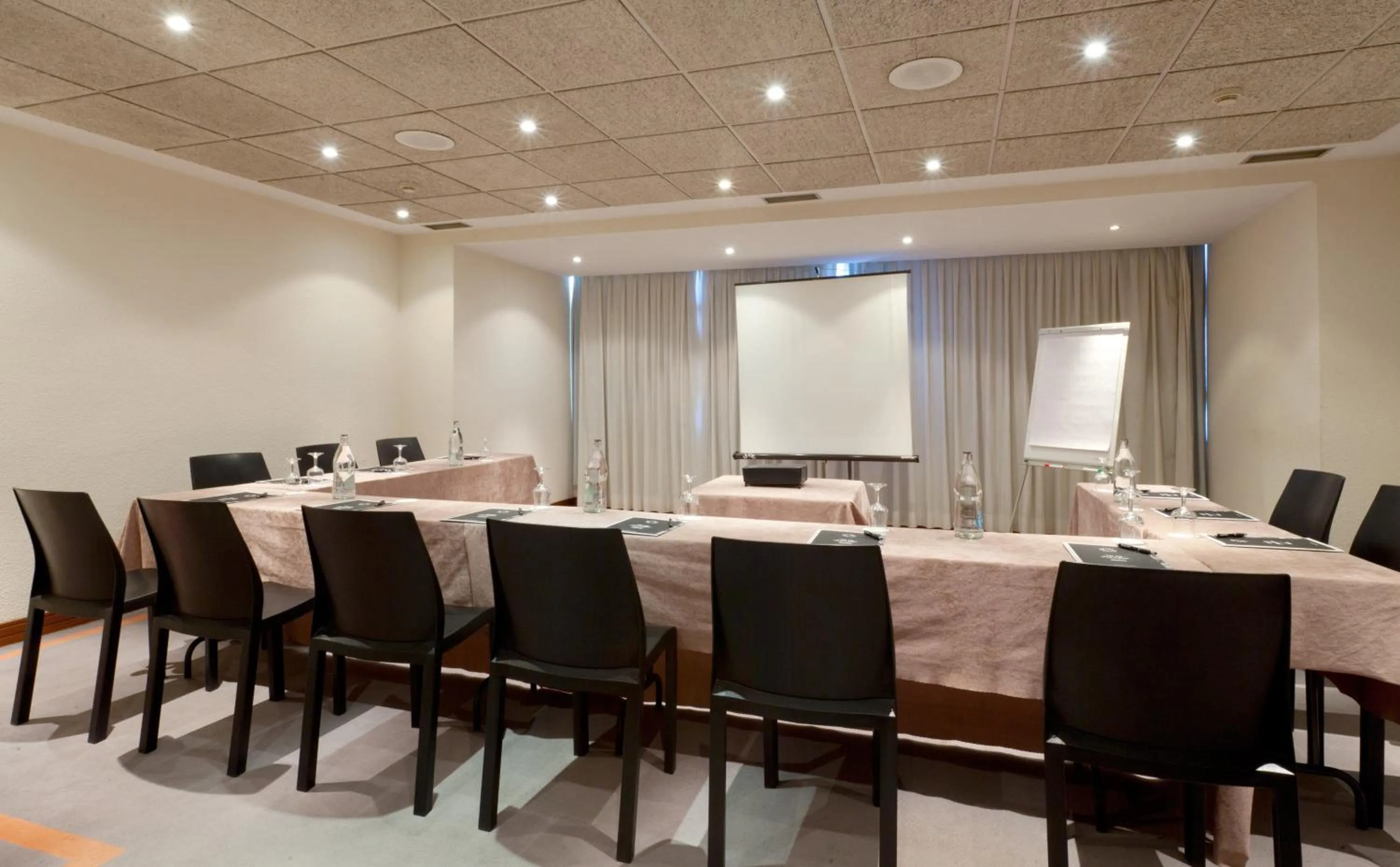 Other in Senator Barajas