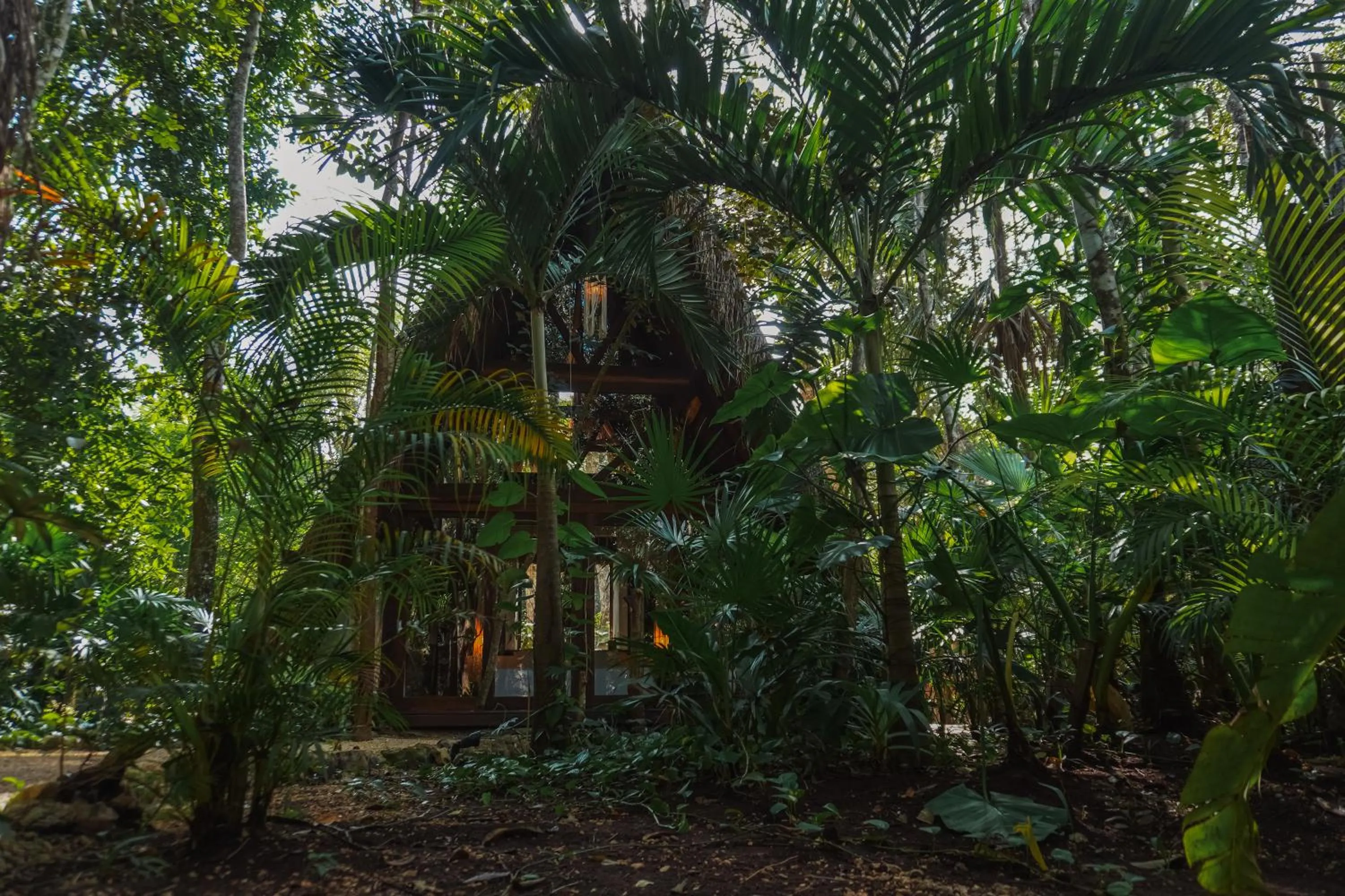 Natural landscape in Naya Bacalar Lagoon Front Hotel - Adults Only