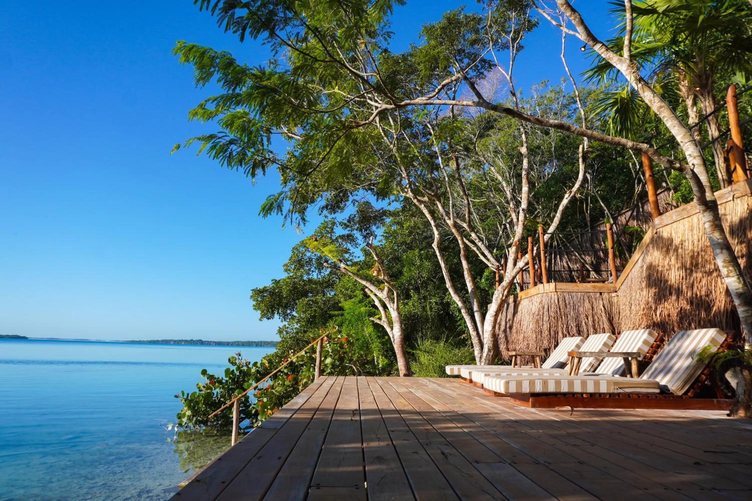 Natural landscape in Naya Bacalar Lagoon Front Hotel - Adults Only