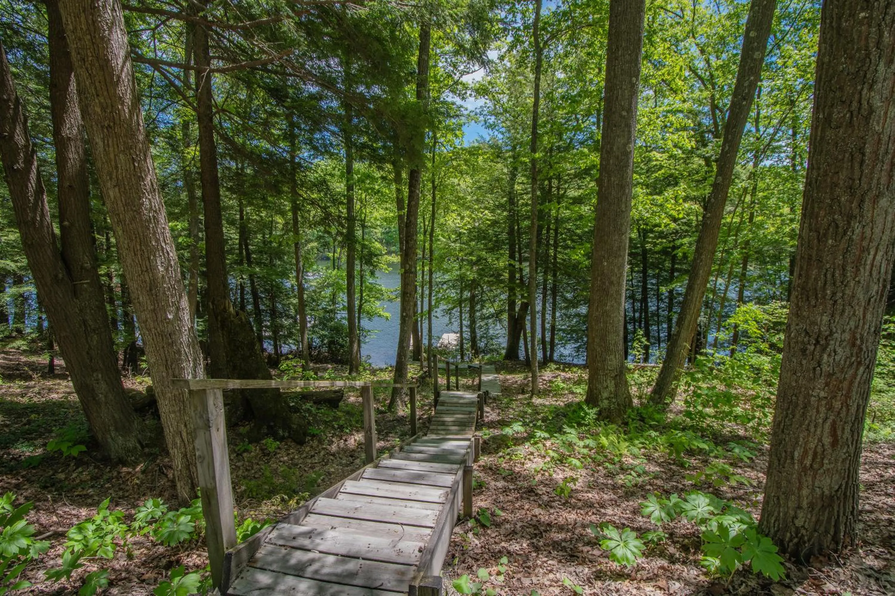 Property building in Lake Life HQ