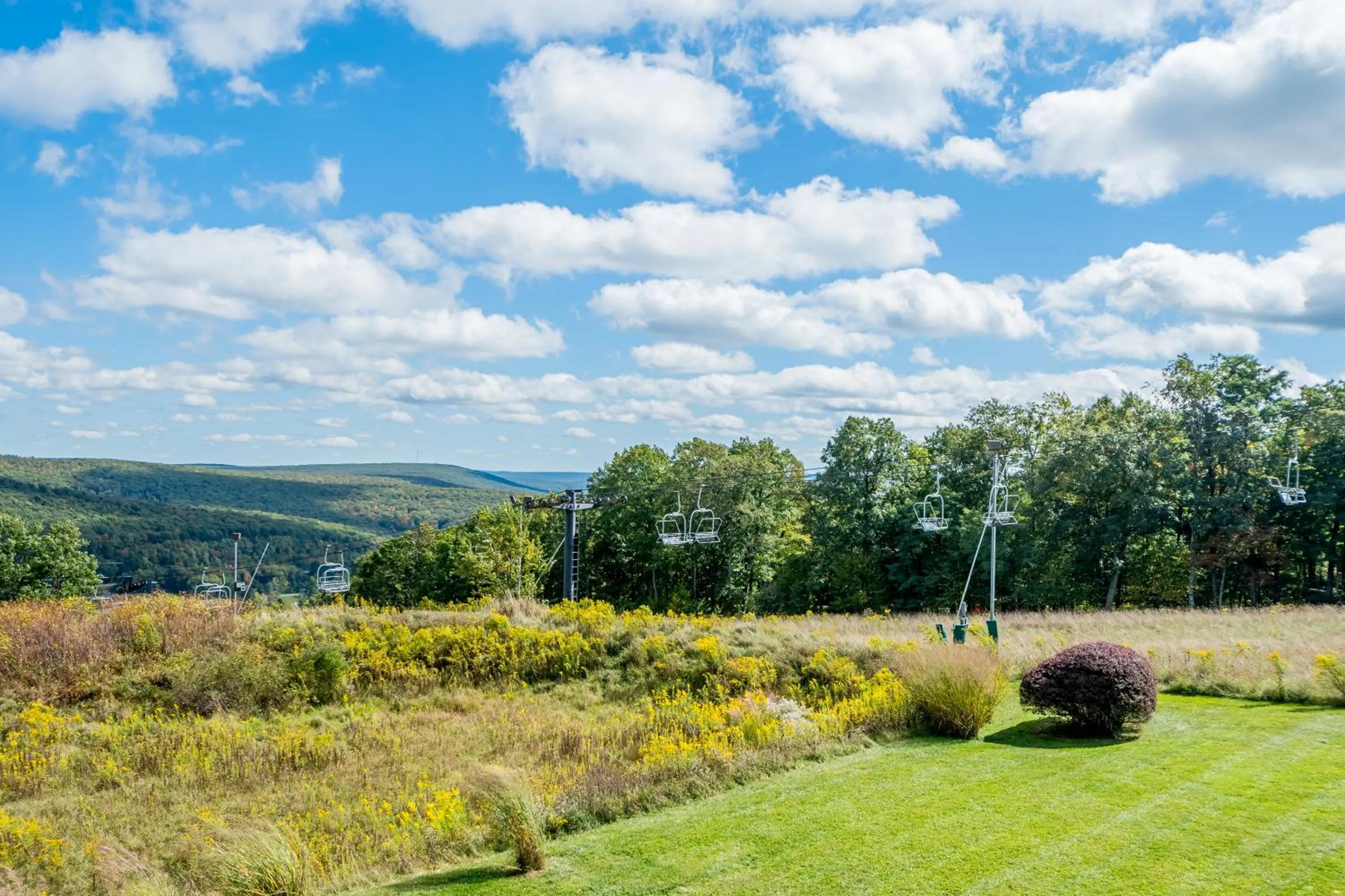 Property building in Wispy Business
