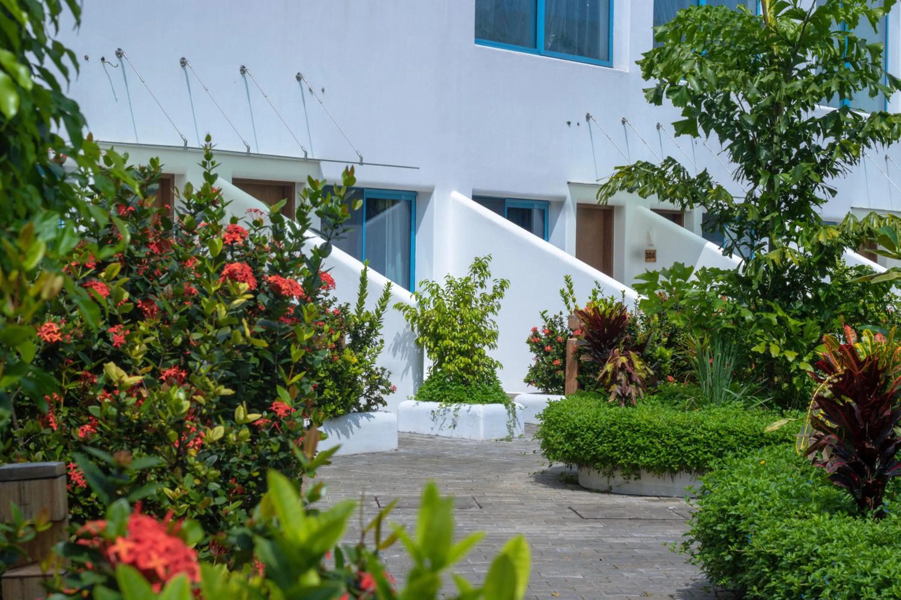 Garden in The Lead Hotel