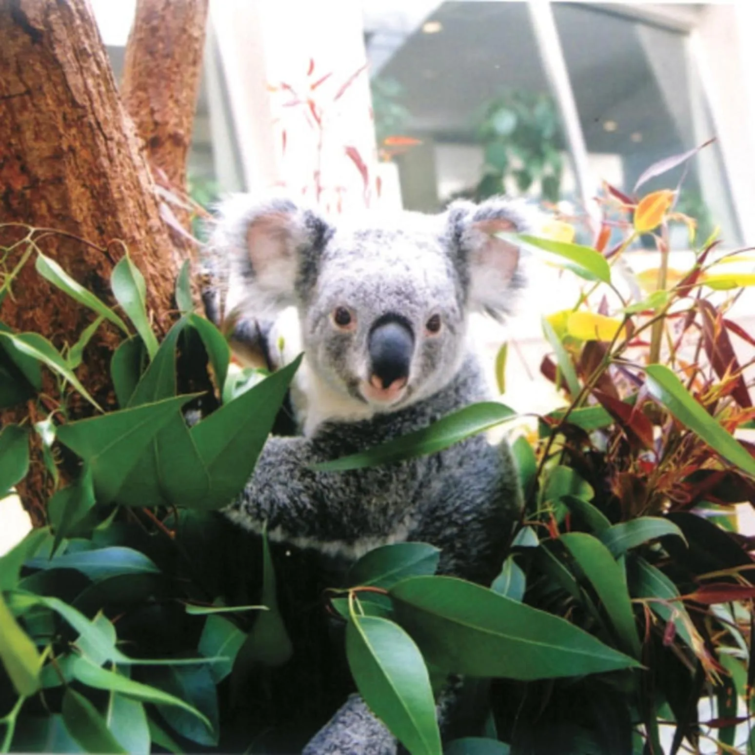 Nearby landmark in Kyukamura Minami-Awaji