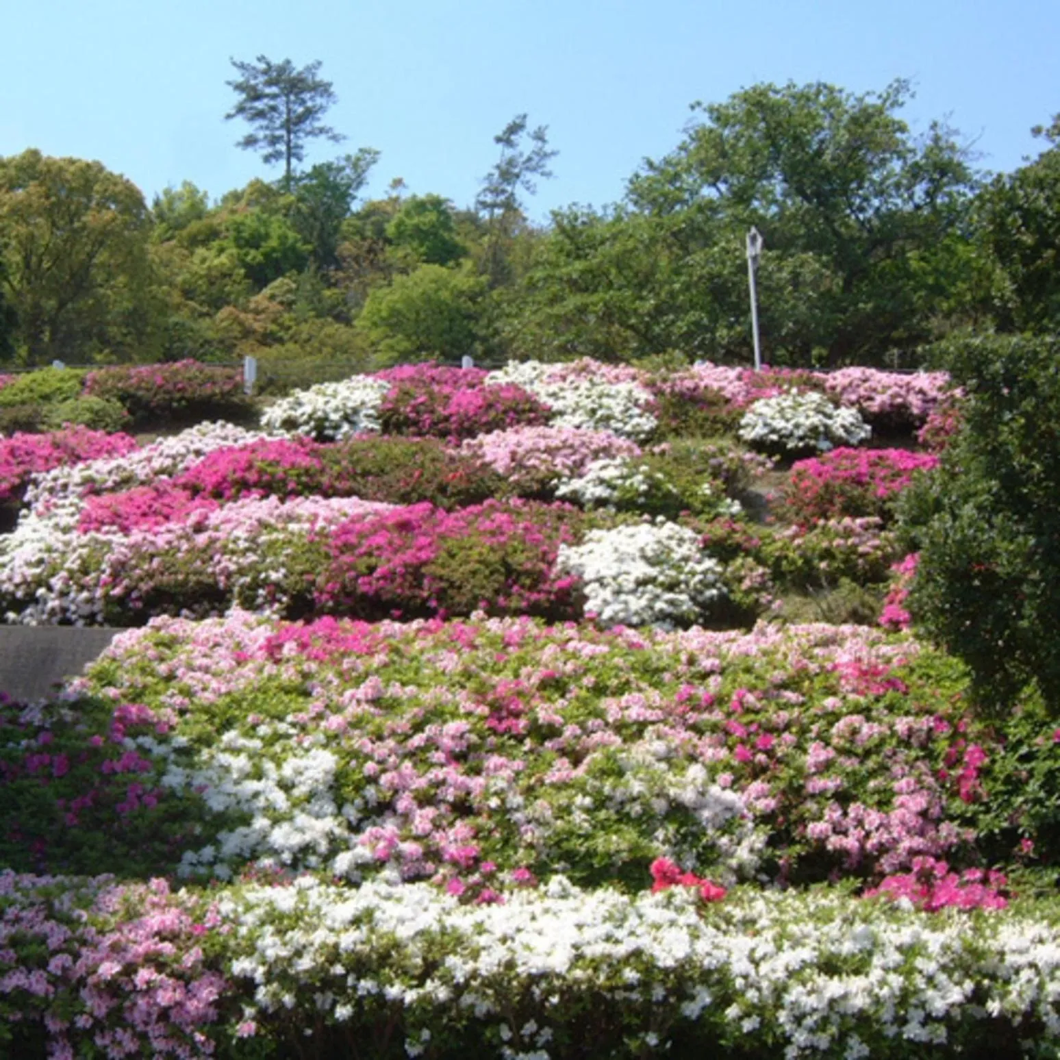 Garden in Kyukamura Setouchi-Toyo
