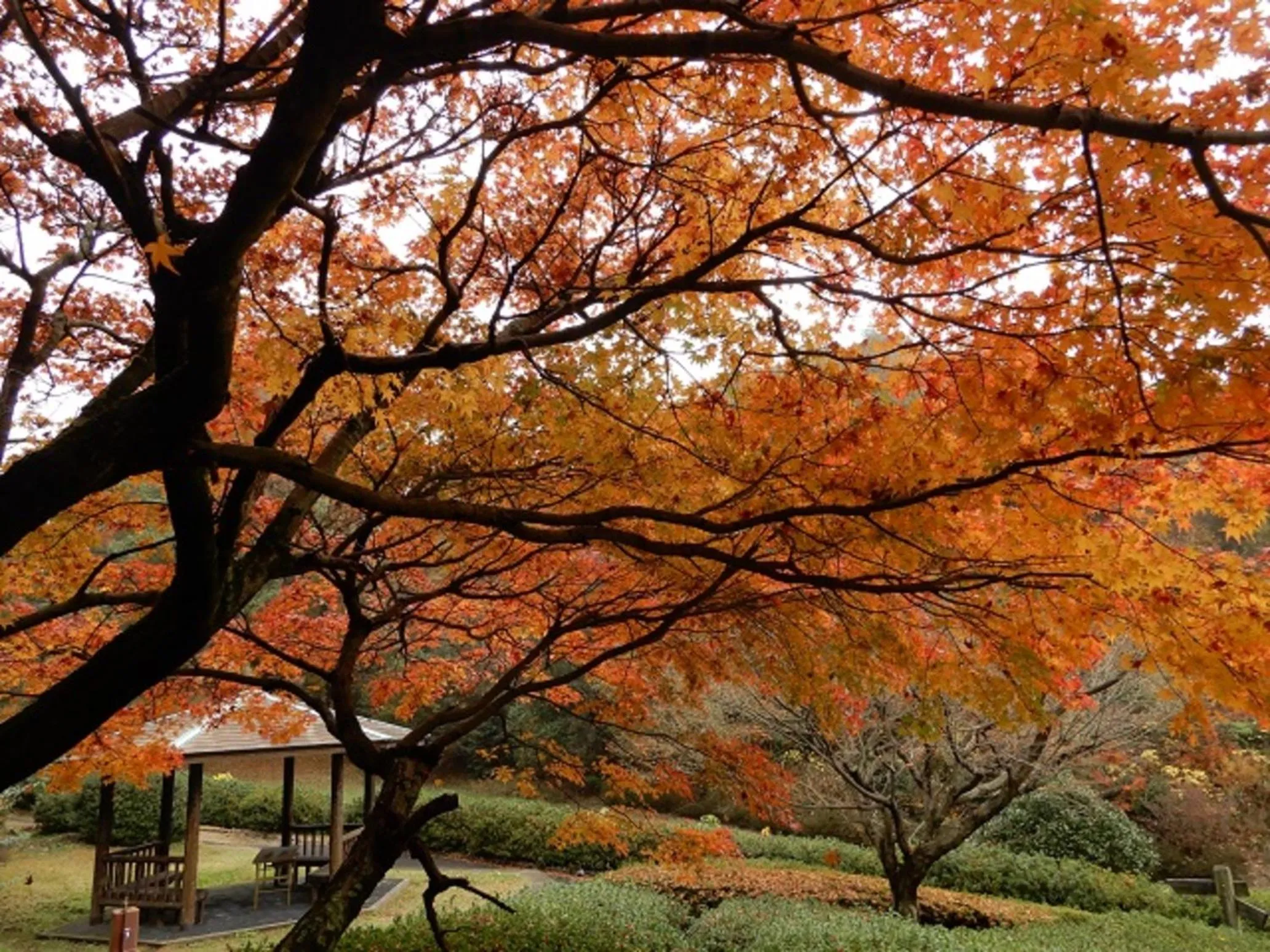 Natural landscape in Kyukamura Setouchi-Toyo