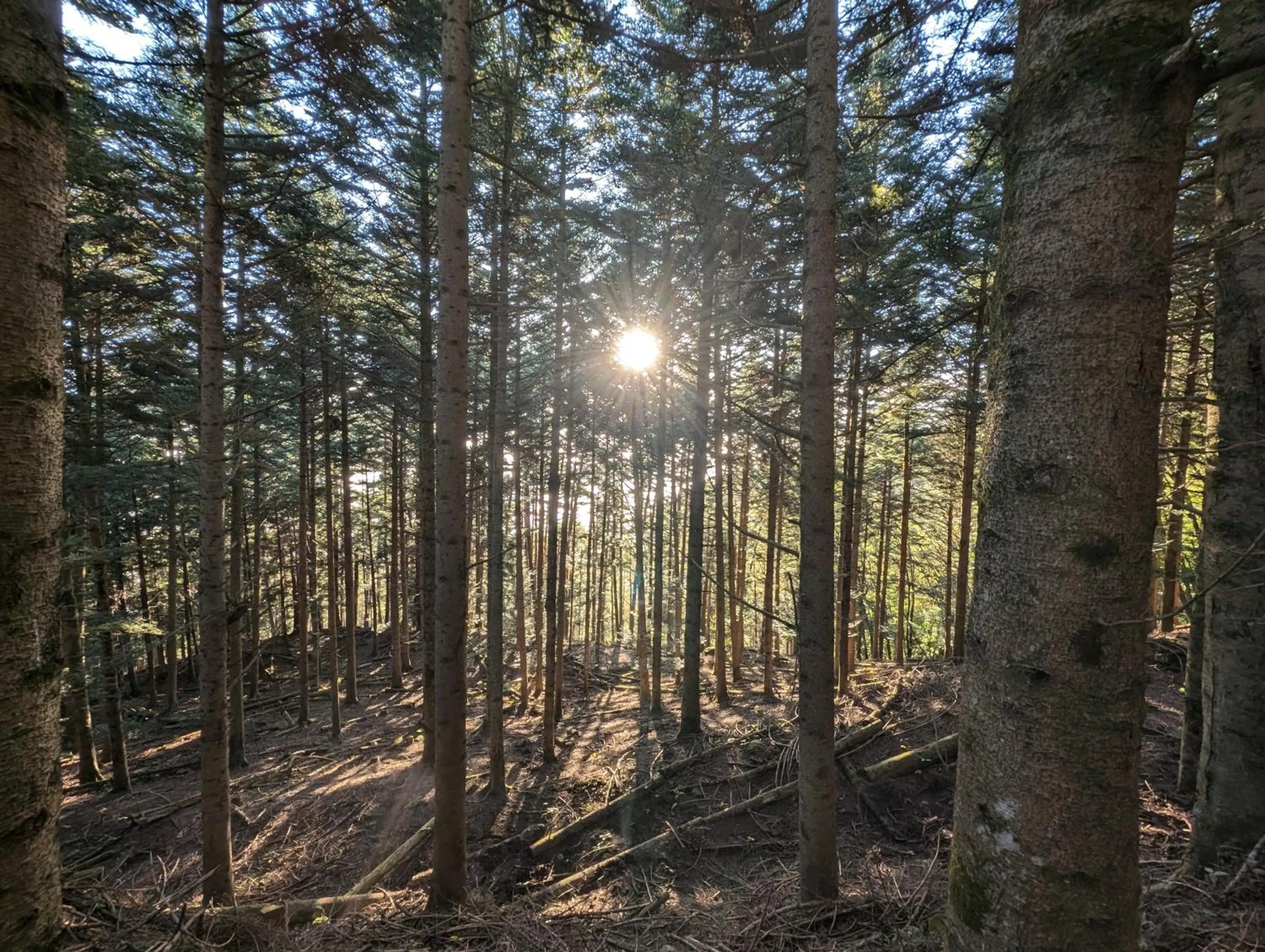 Activities in hotel norm air