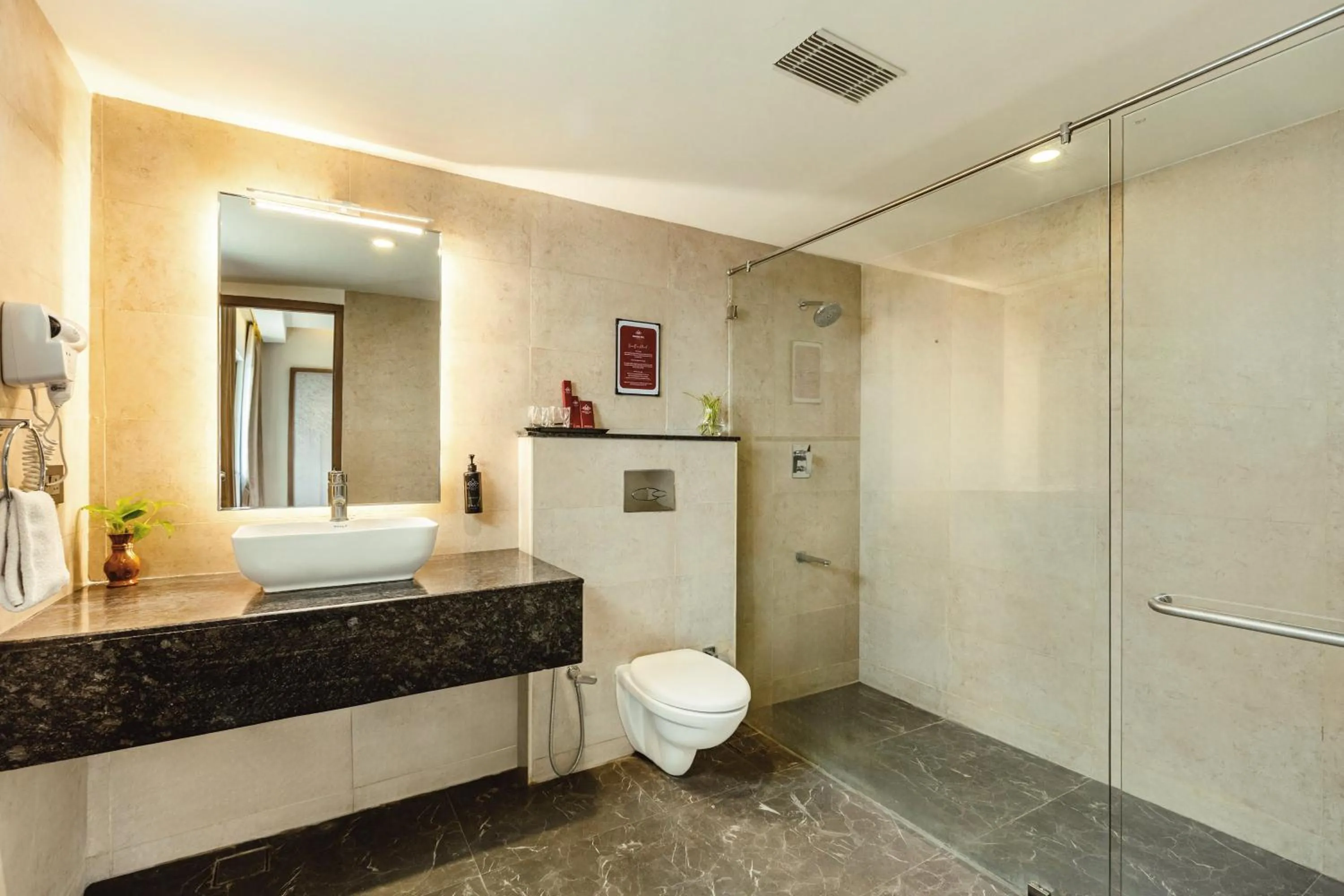 Bathroom in Mango Hill Central Chennai