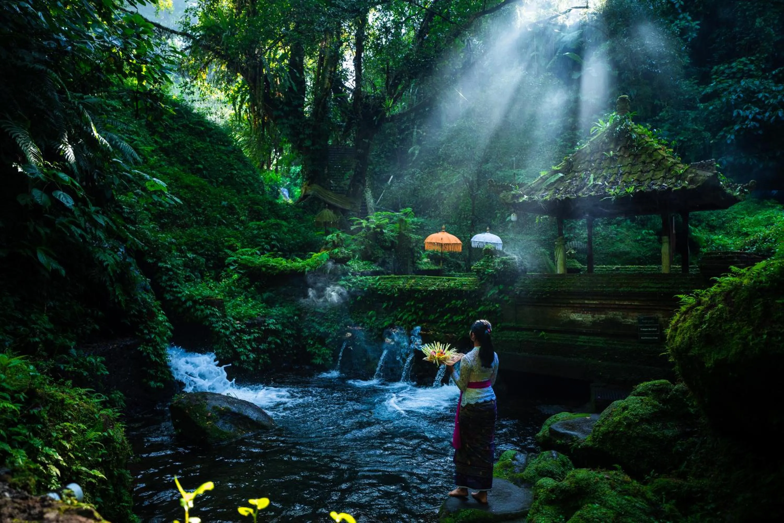 Activities in Anantara Ubud Bali Resort