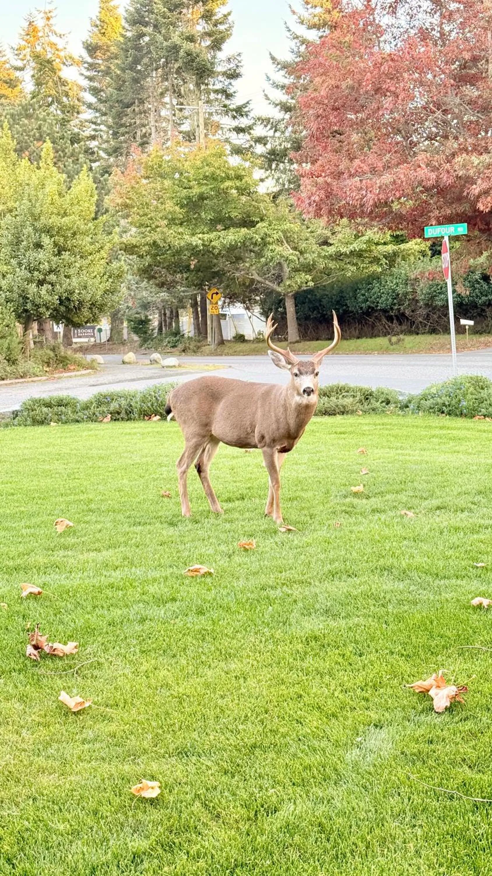 Property building in Seagull Studio Vacation Suite