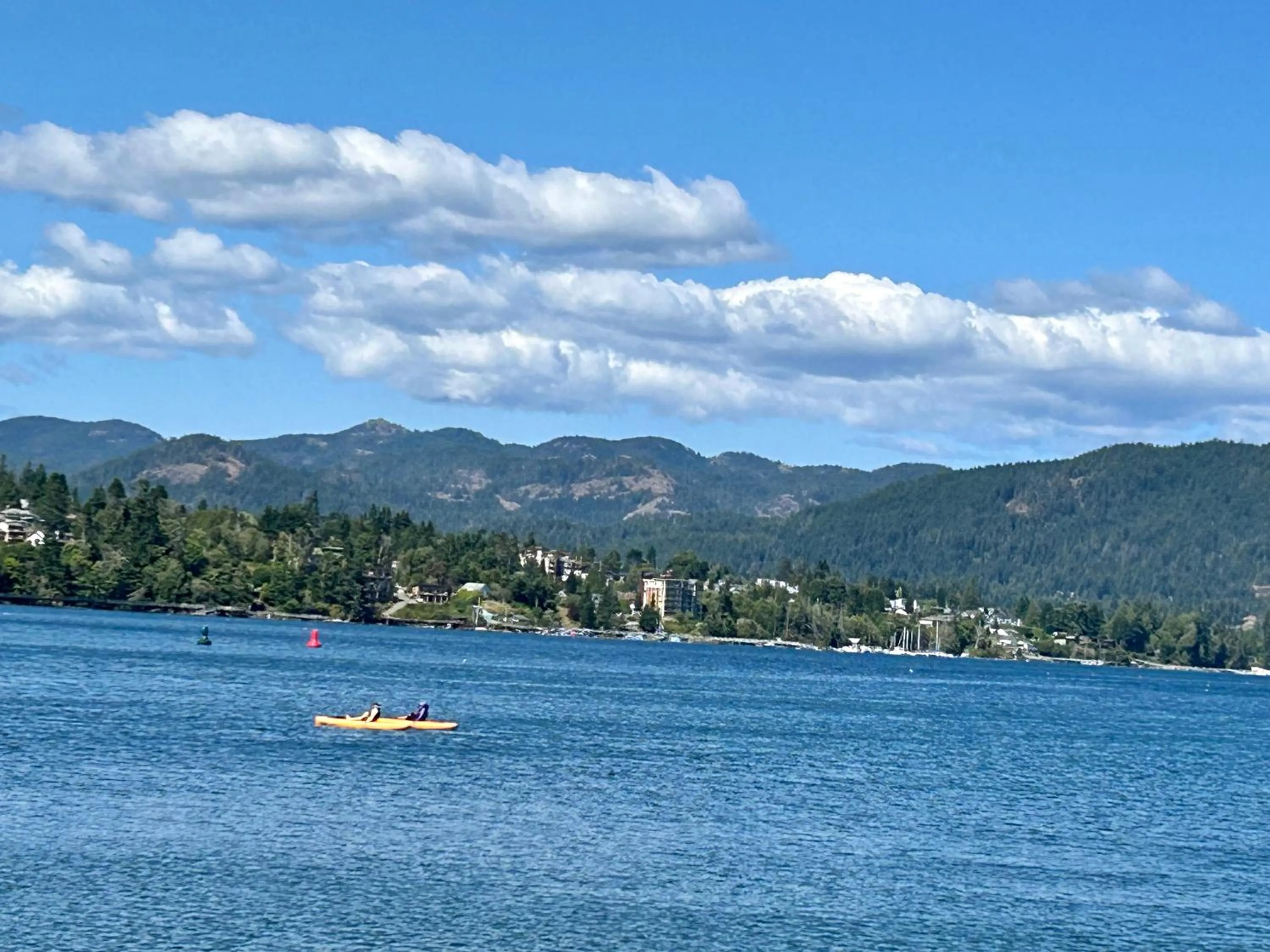 Natural landscape in Seagull Studio Vacation Suite