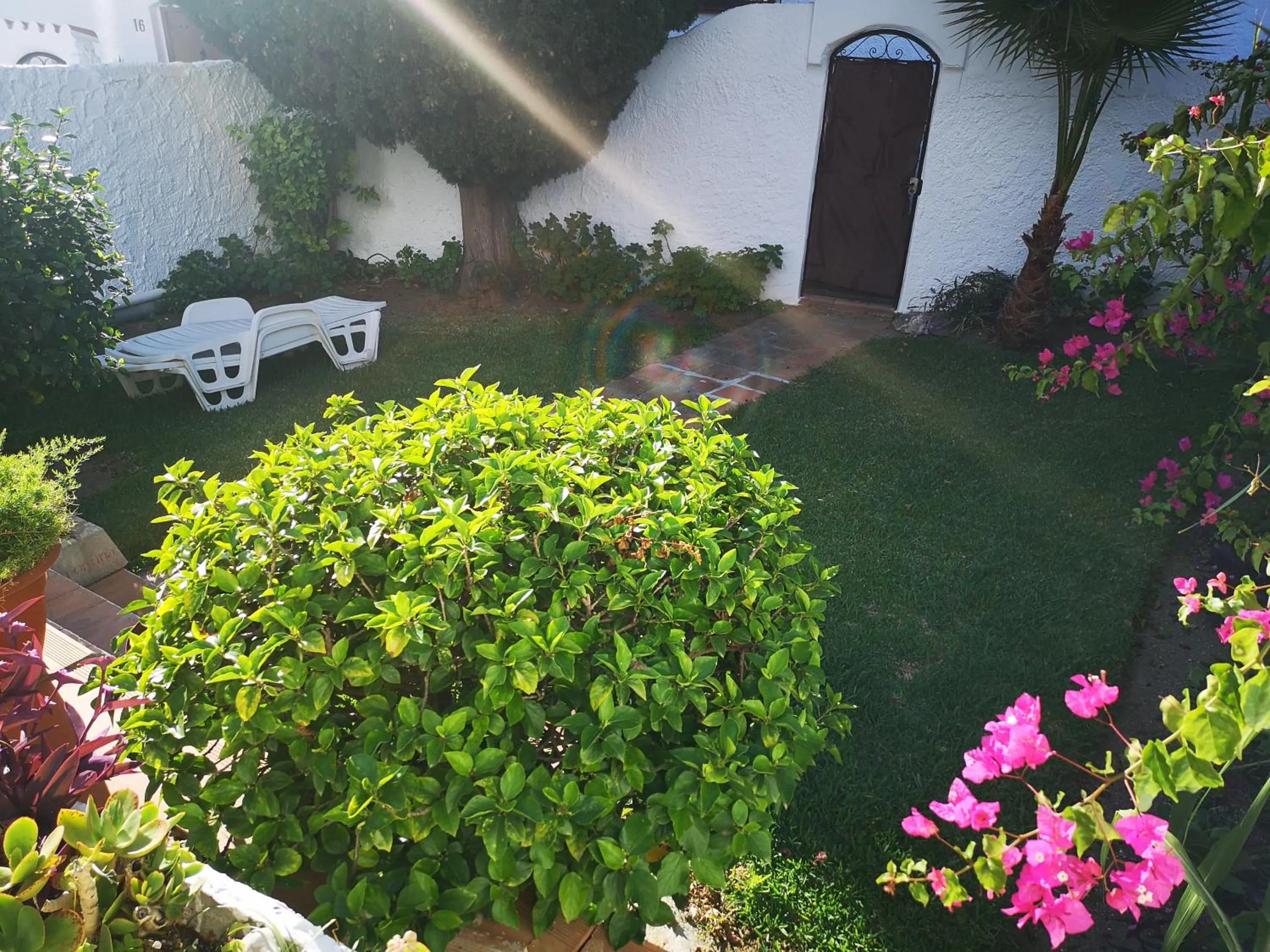 Garden in El Capistrano