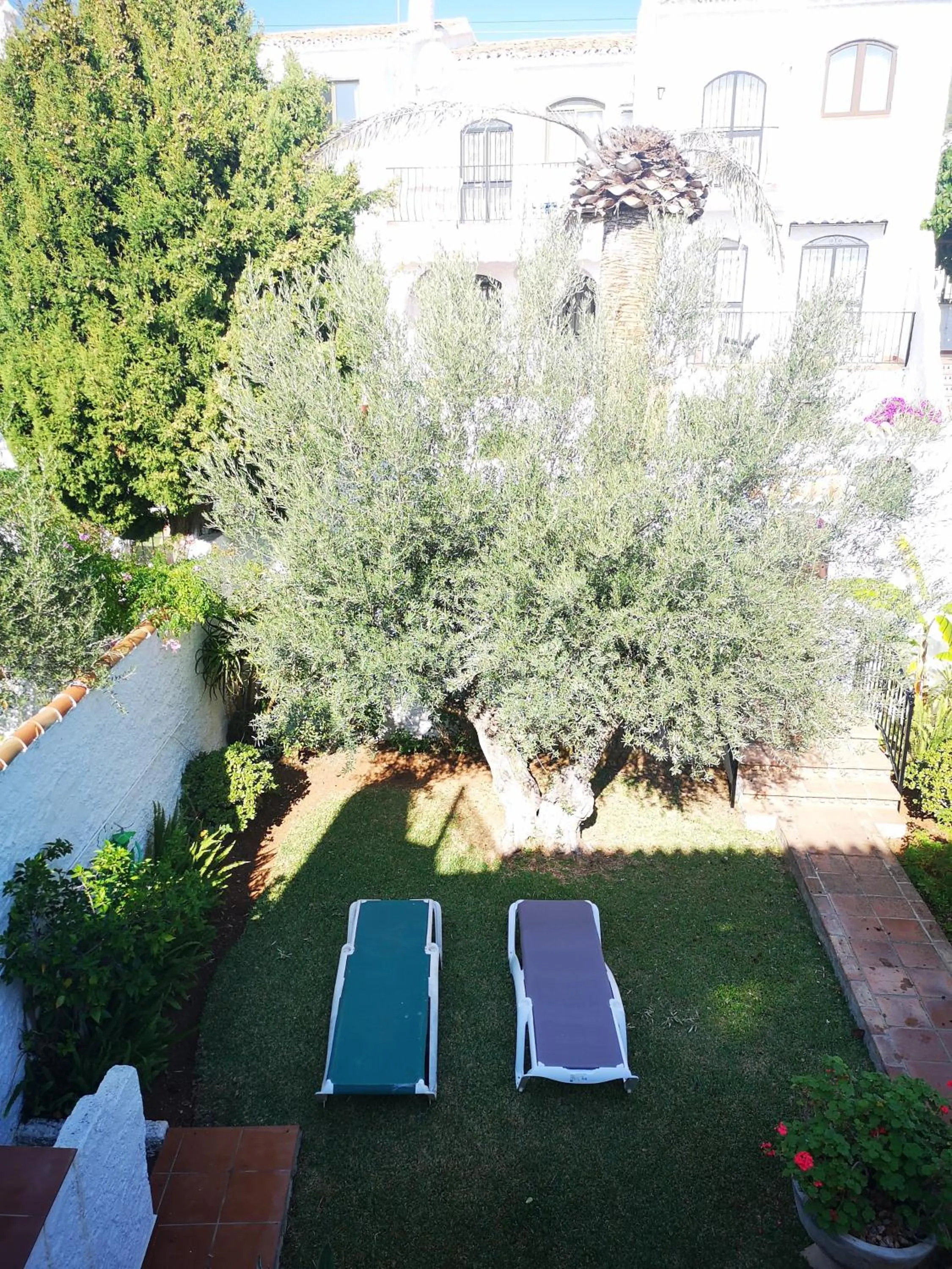 Garden view in El Capistrano