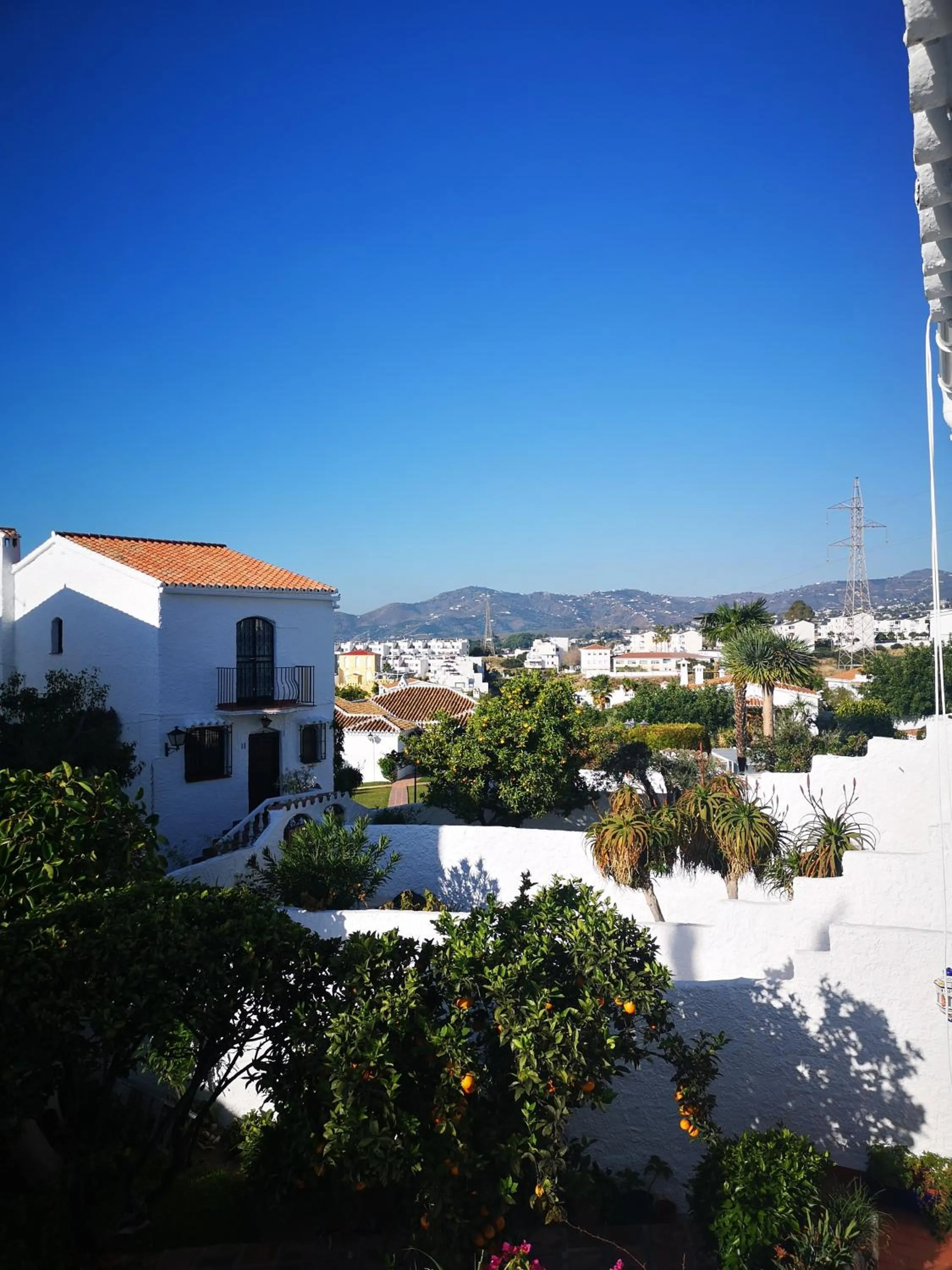 Garden view in El Capistrano