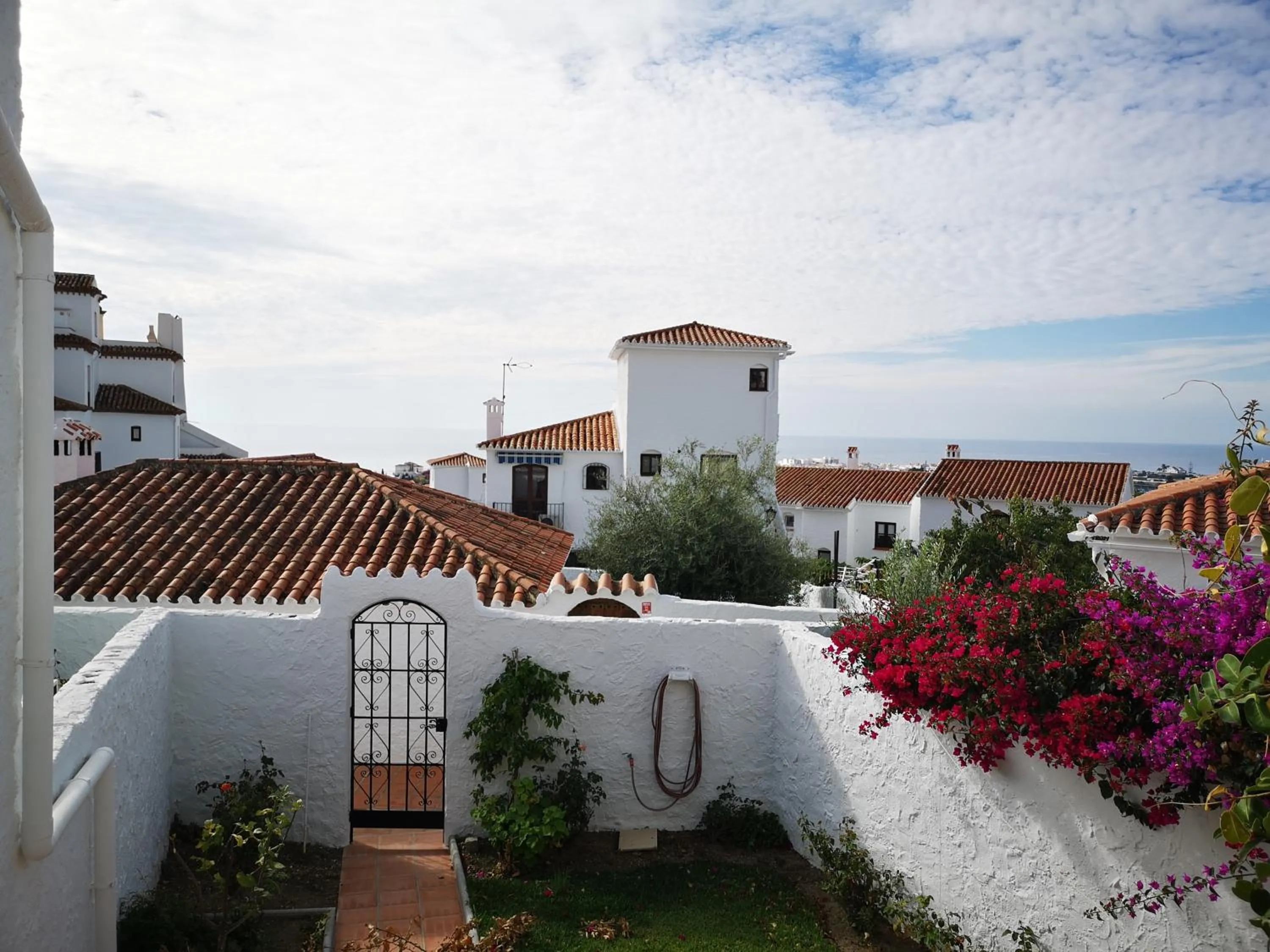 Garden in El Capistrano