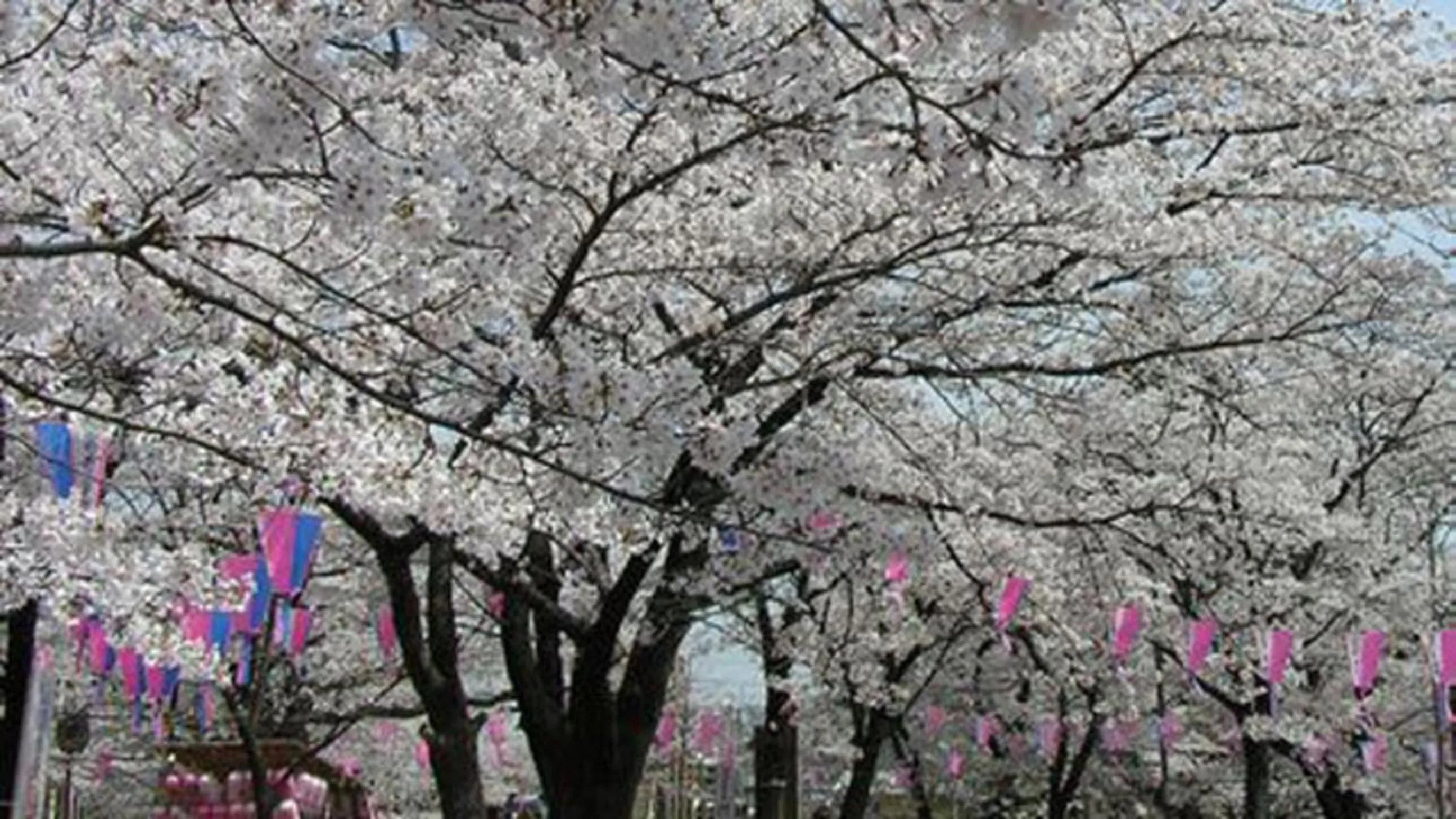 Nearby landmark in Kyukamura Oku-Musashi