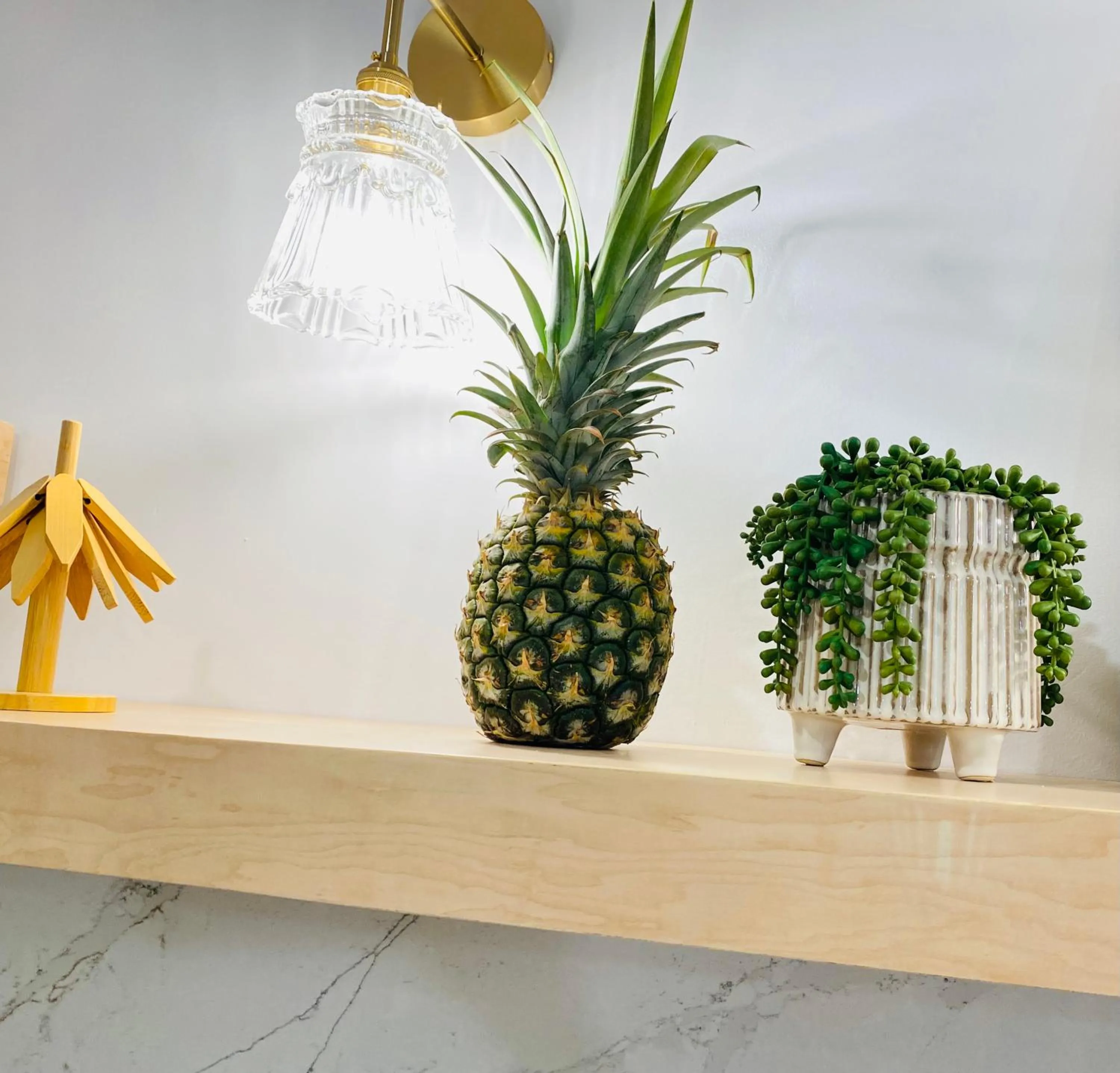 Newly renovated luxury, modern style Waikiki Sunset Hotel Ocean view Freeparking