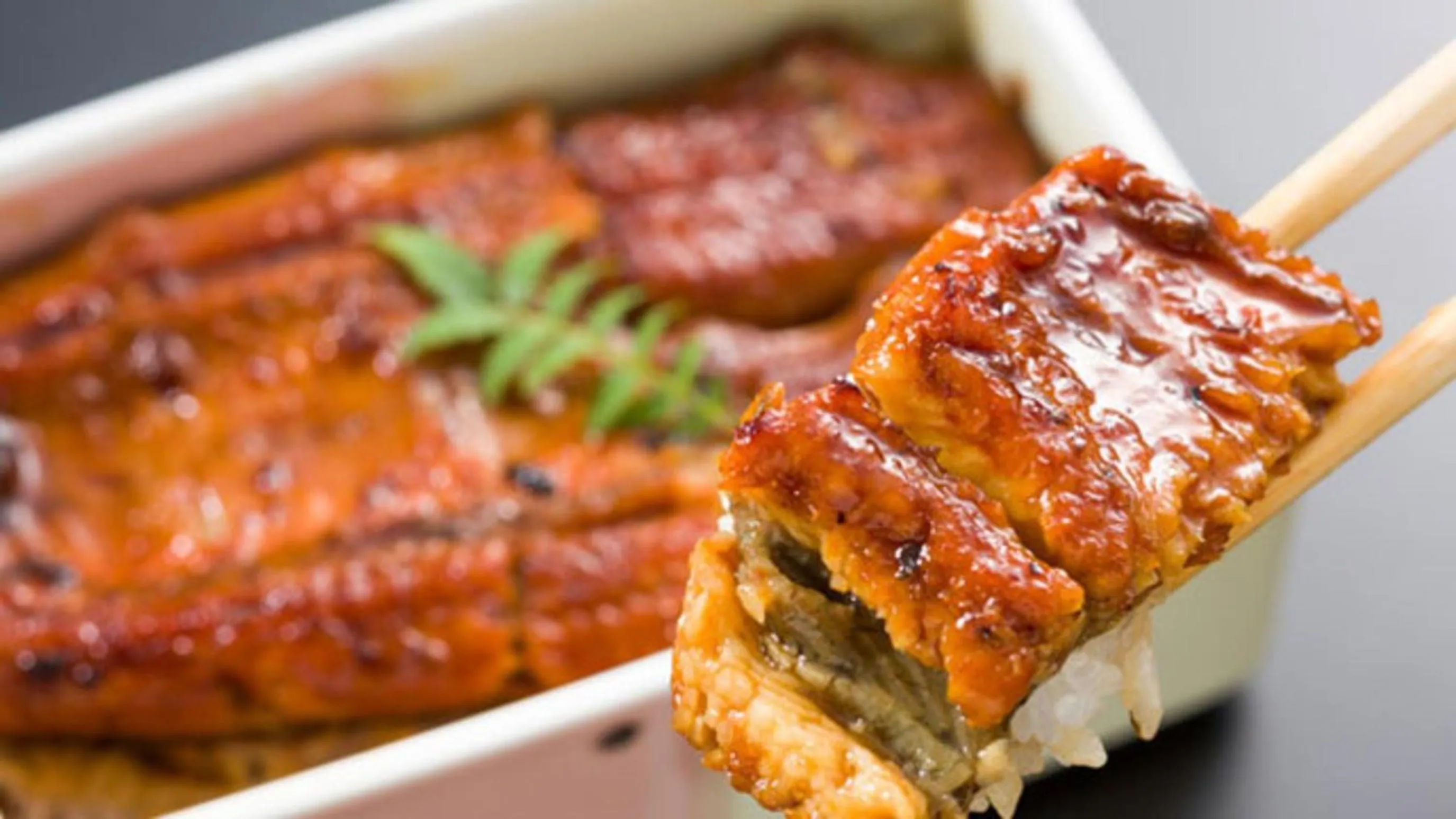 Food in Kyukamura Fuji