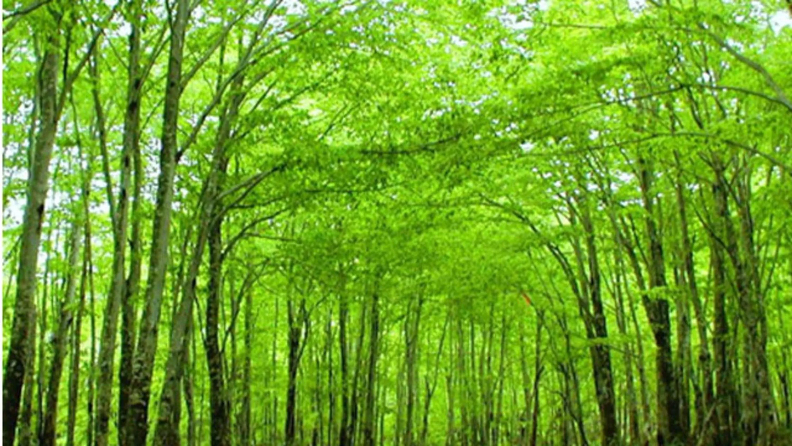 Kyukamura Nyuto-Onsenkyo