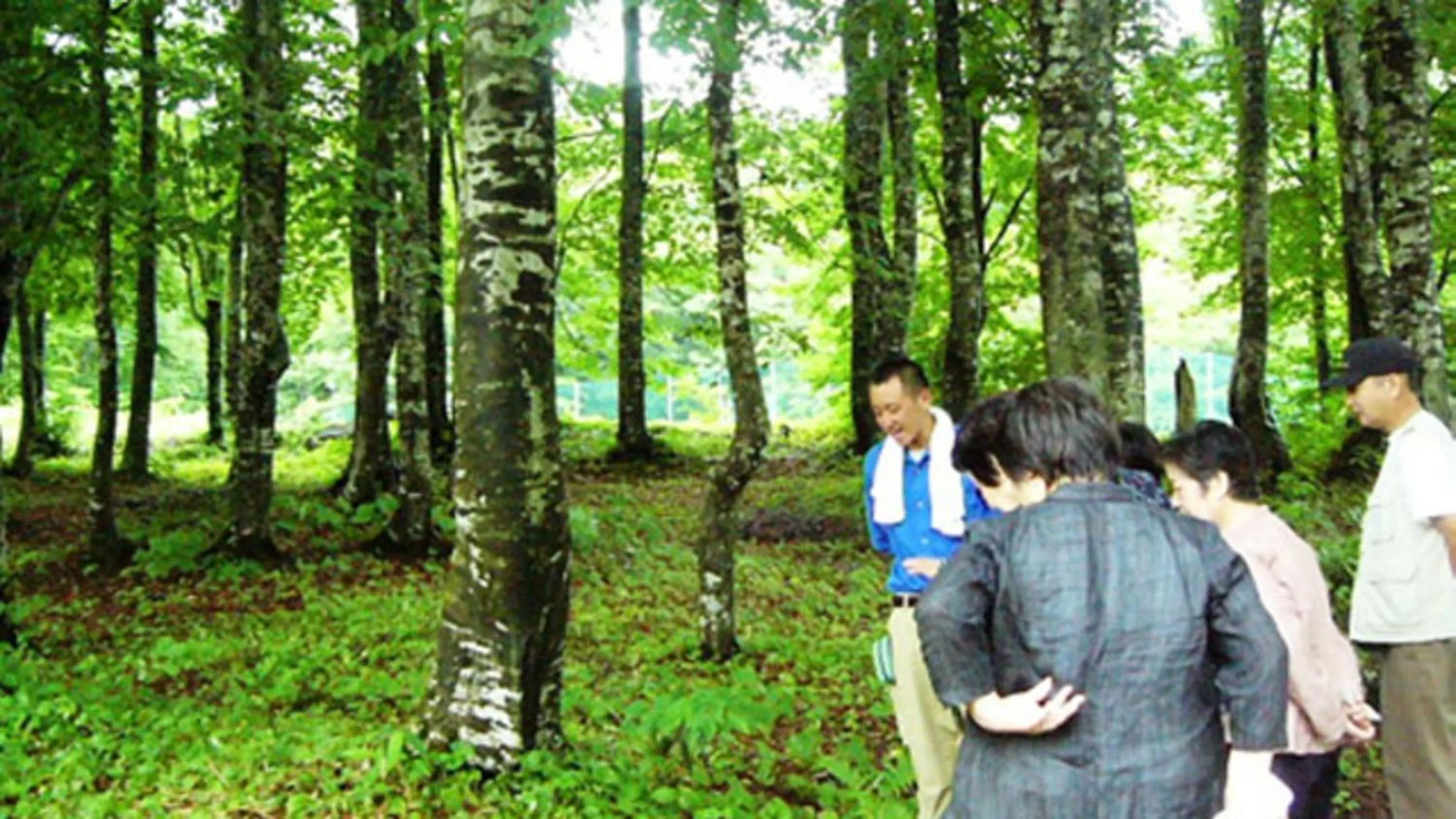 Kyukamura Nyuto-Onsenkyo