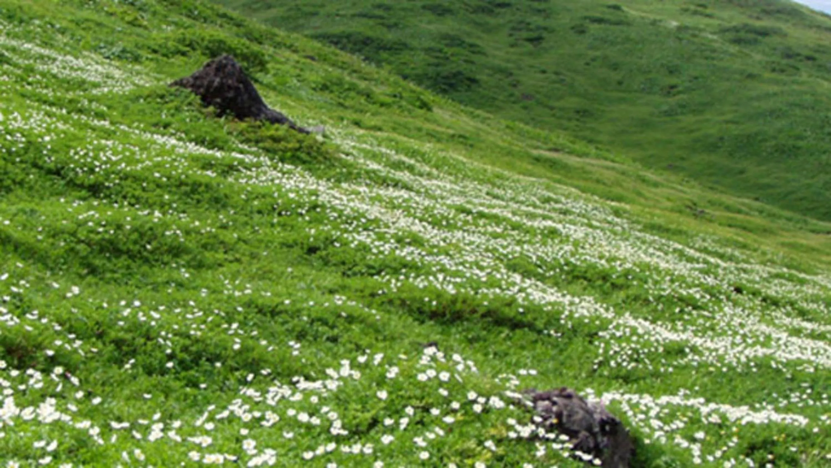 Kyukamura Nyuto-Onsenkyo