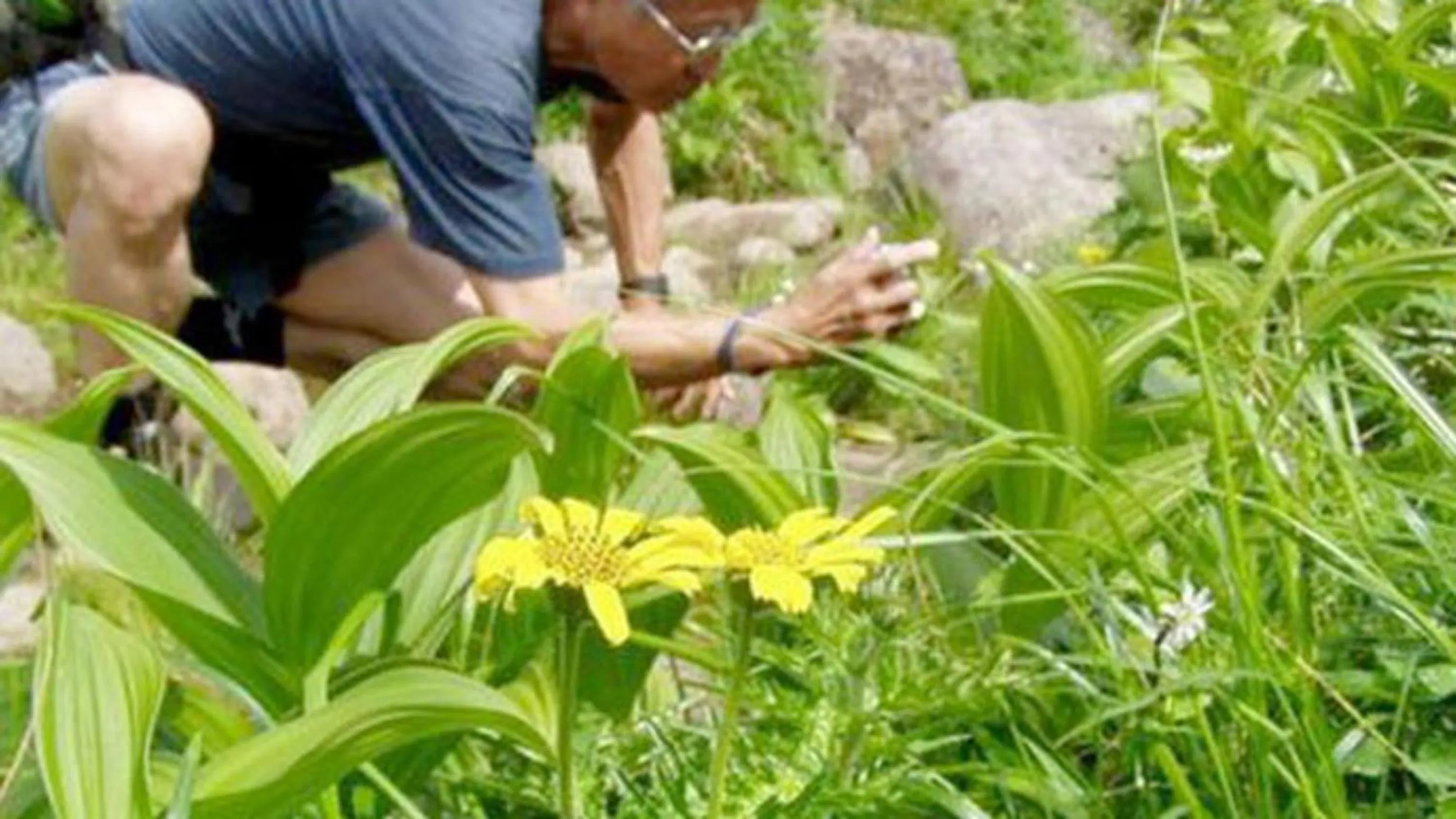 Kyukamura Shonai-Haguro