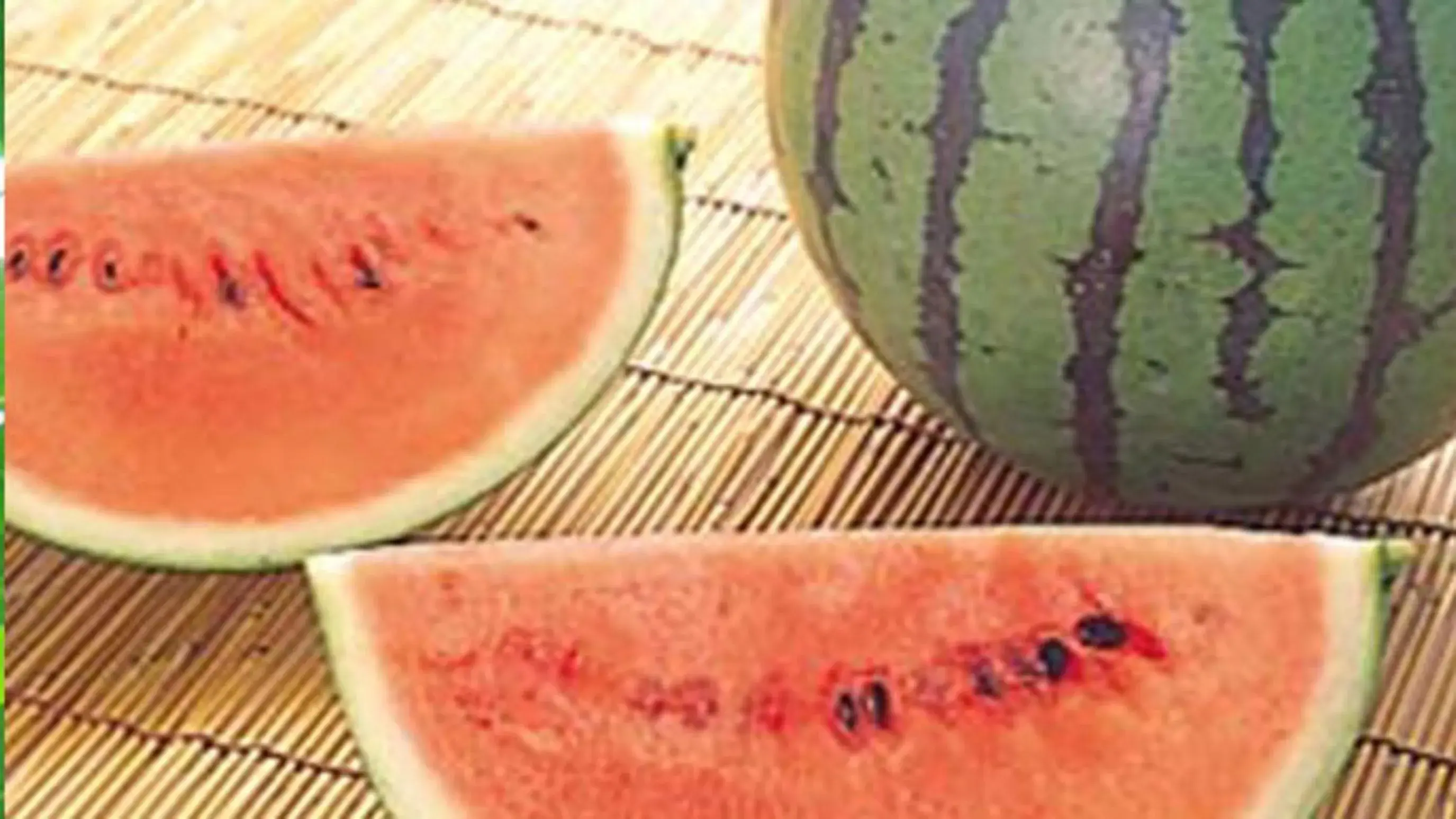 Kyukamura Shonai-Haguro Kyukamura Shonai-Haguro