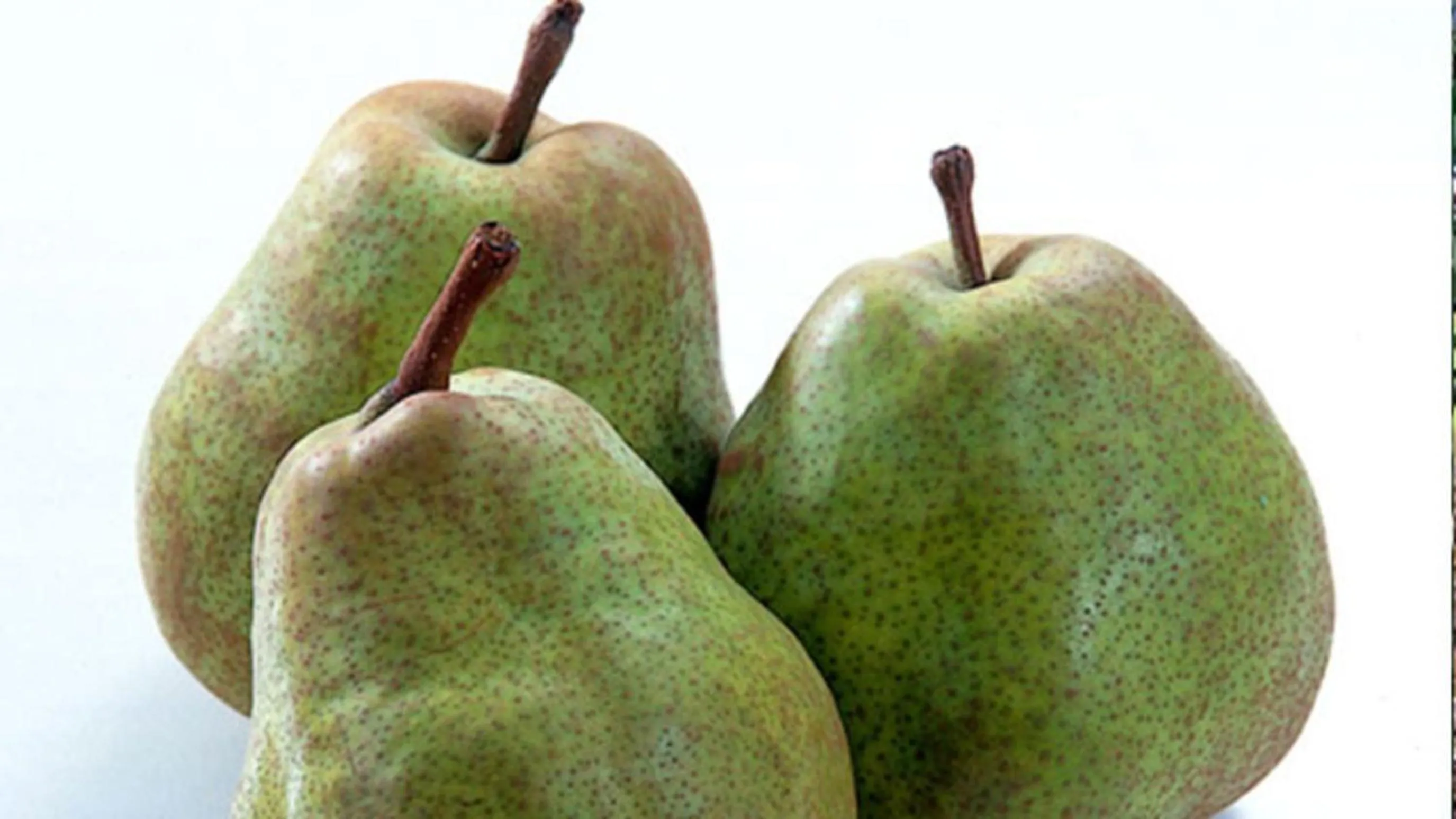 Kyukamura Shonai-Haguro