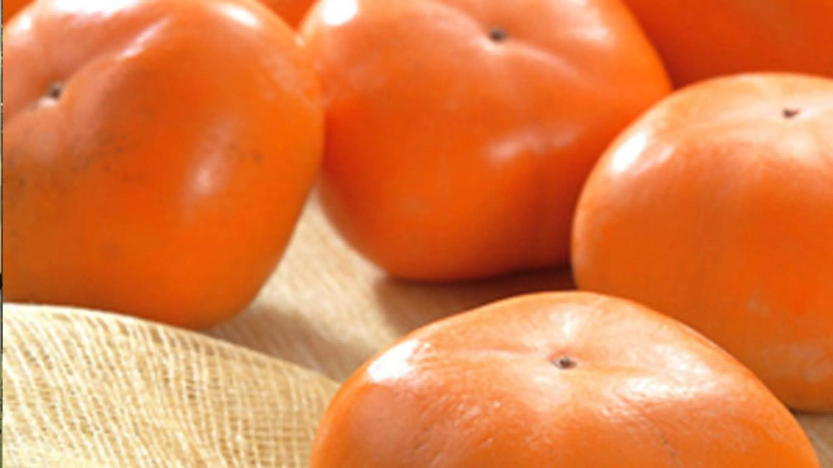 Kyukamura Shonai-Haguro