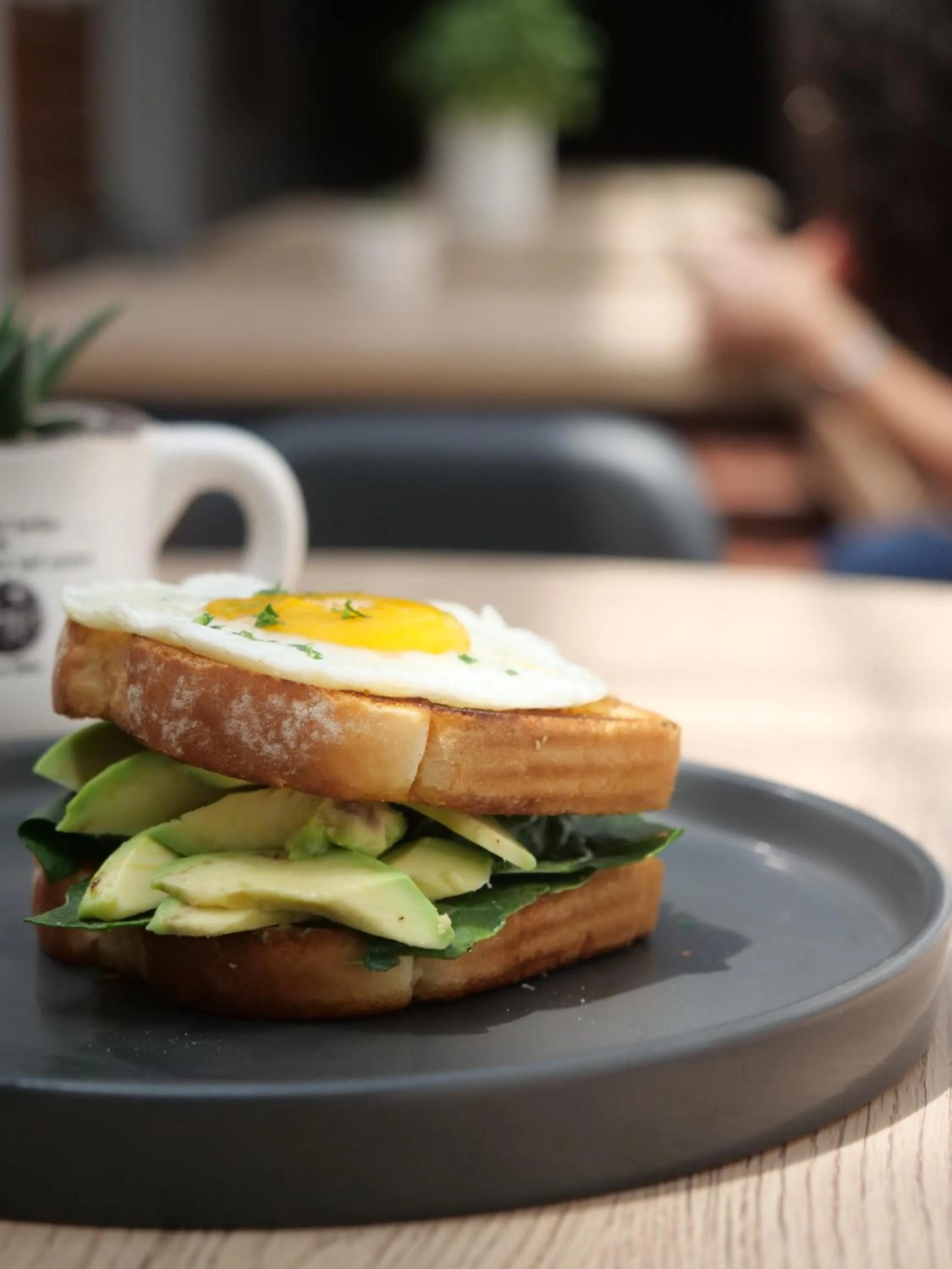 Food and drinks in Wanderlot - Hotel Plaza Central