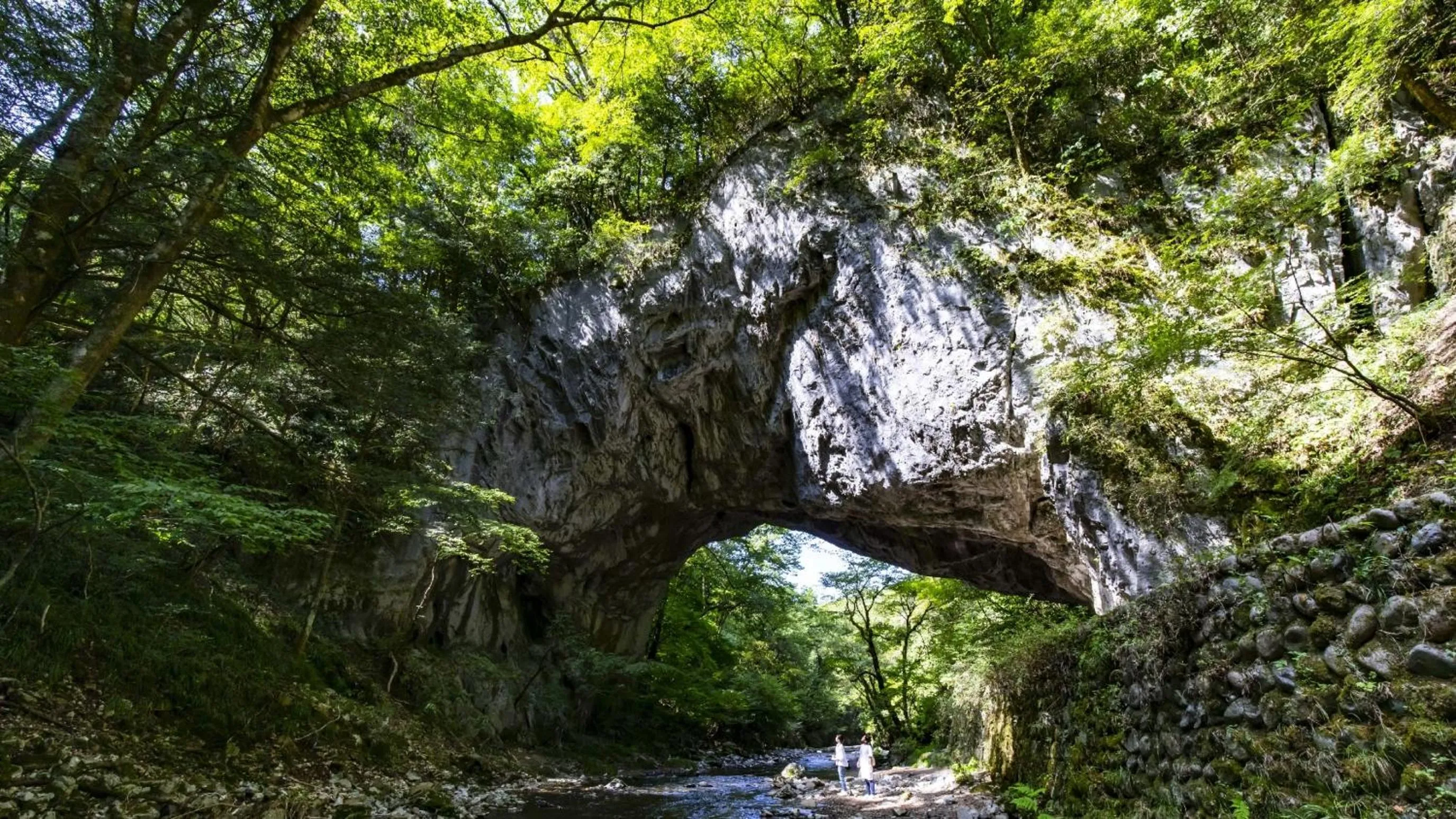 Kyukamura Taishakukyo