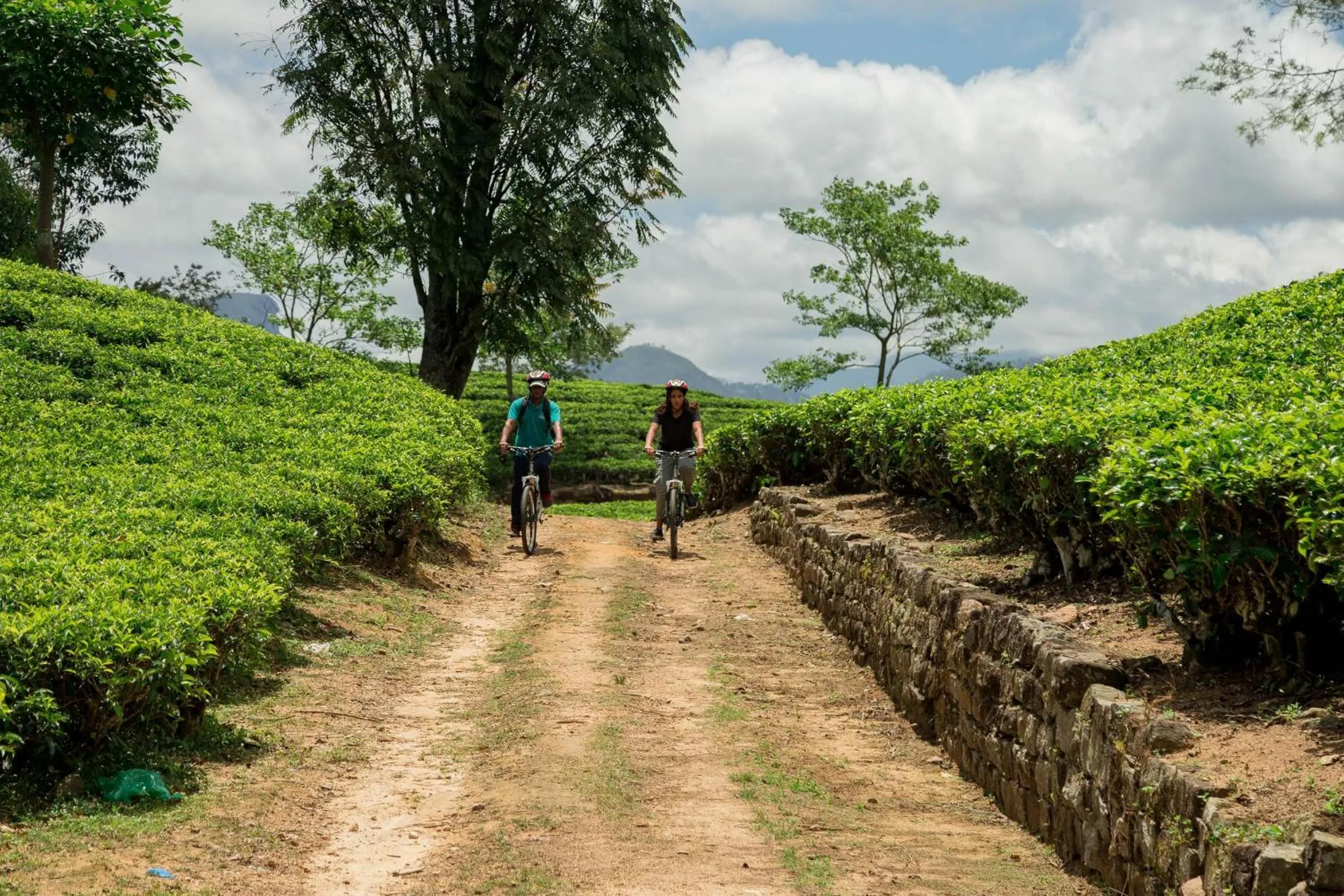 Cycling in Ceylon Tea Trails - Relais and Chateaux - All Inclusive