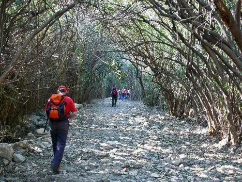 Hiking in Hotel Rural Puerto Mágina