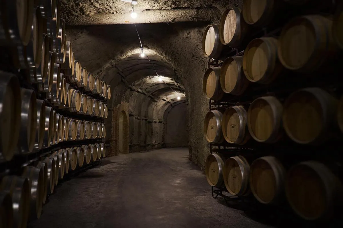 Activities in Hotel Vinícola Real-200 Monges