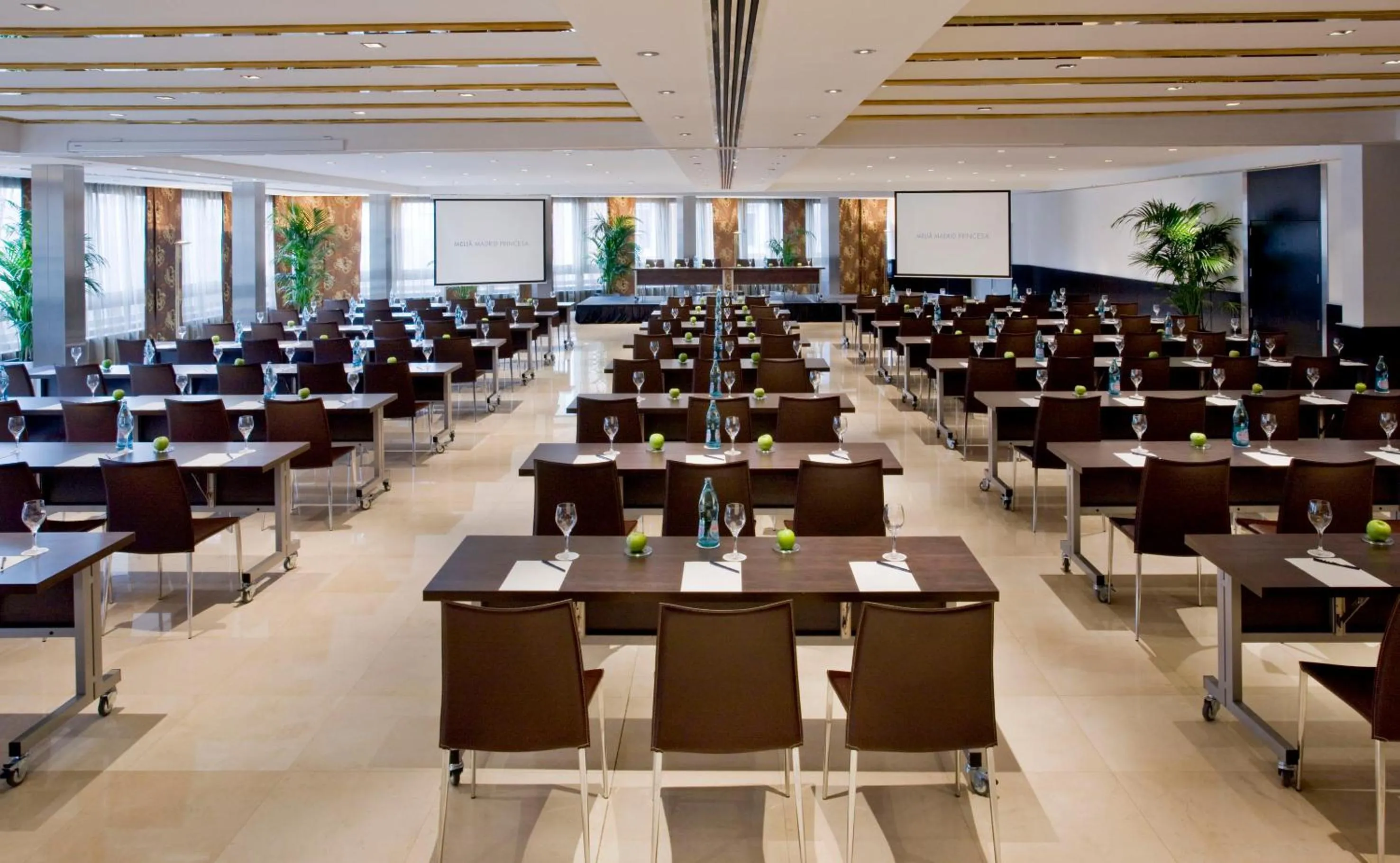 Business facilities in Melia Madrid Princesa