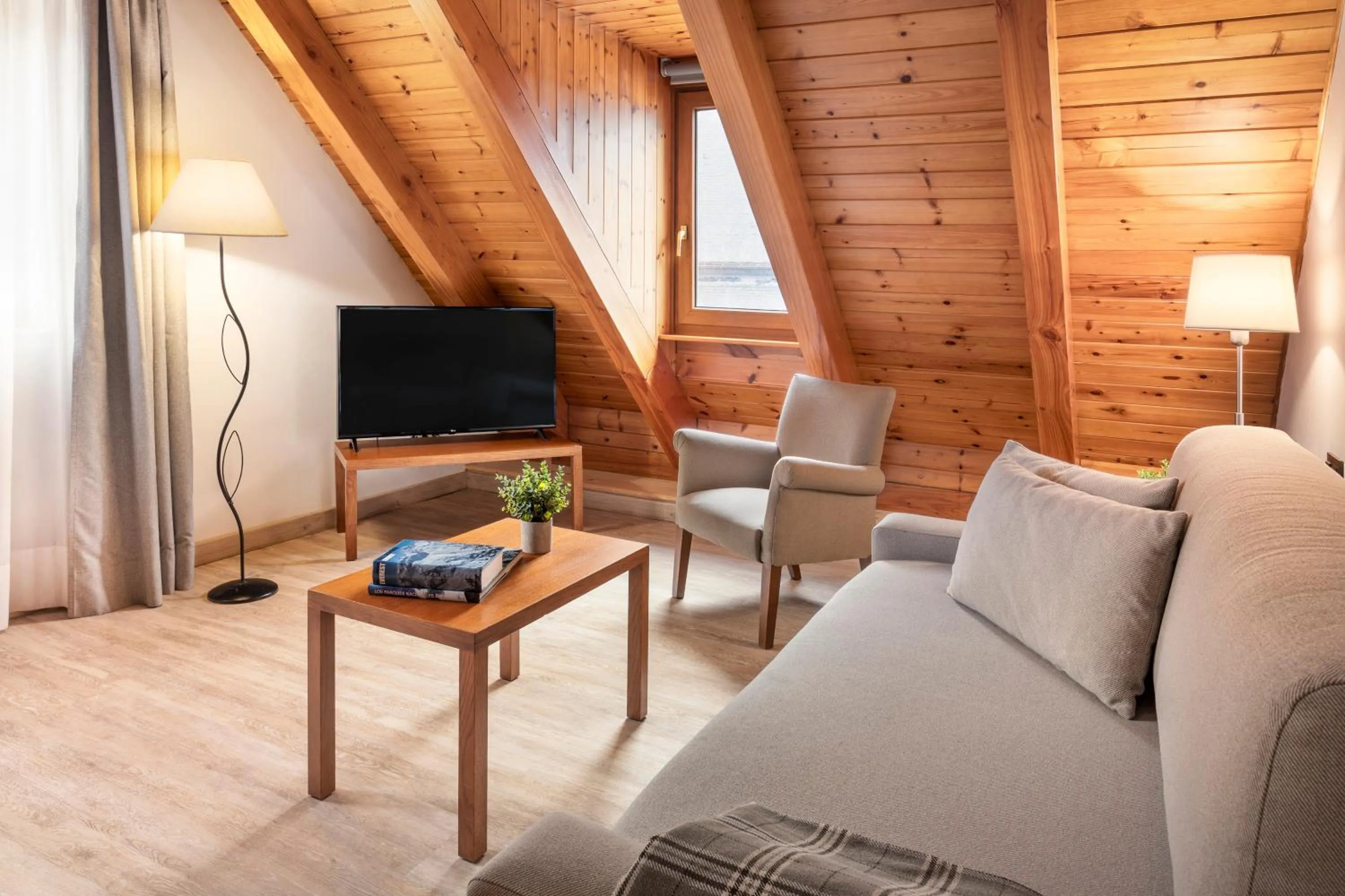 TV and multimedia in Hotel Vielha Val d'Aran, Affiliated by Meliá