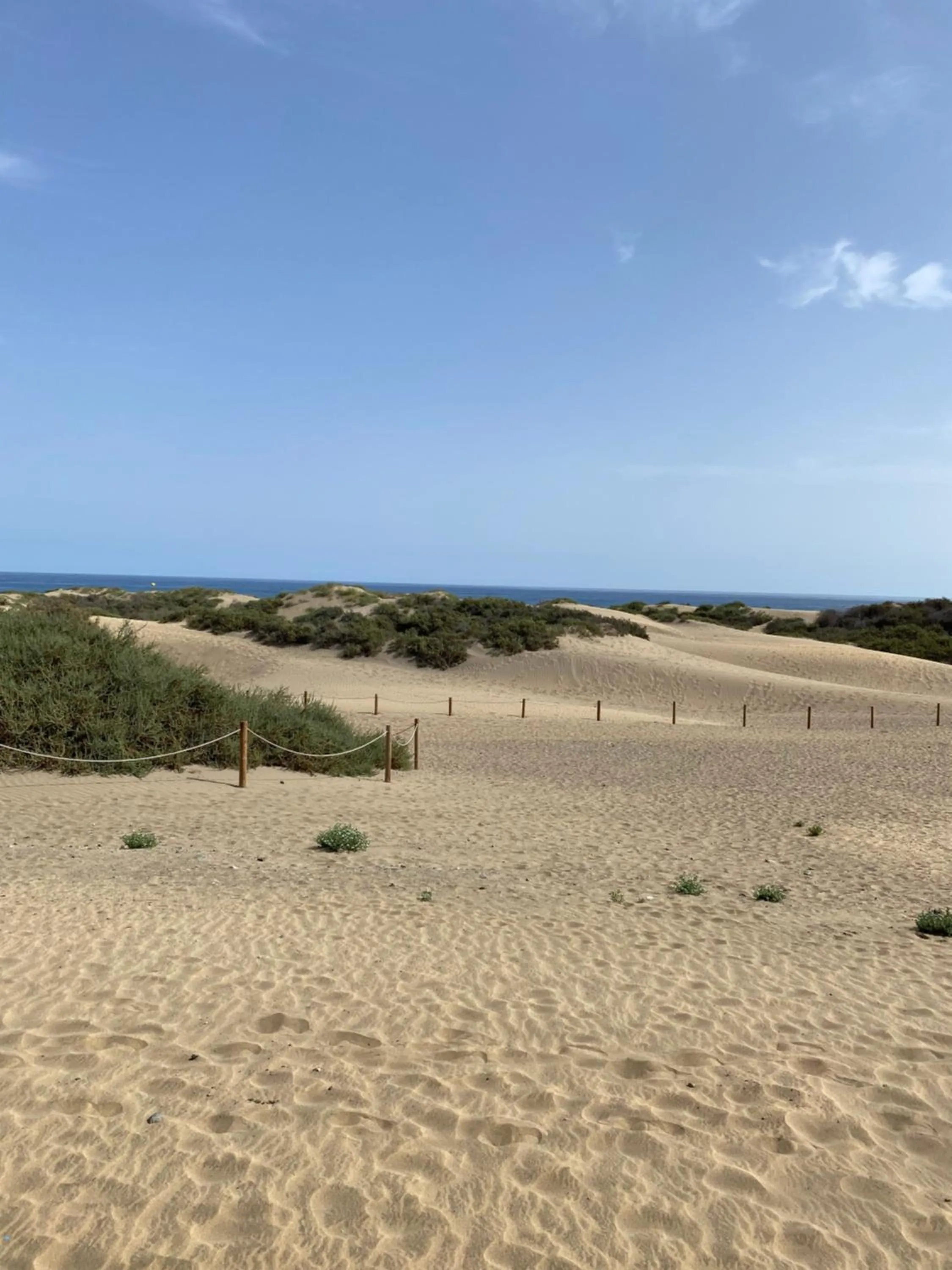 Beach in Apartament Modern 1 Playa del Ingles