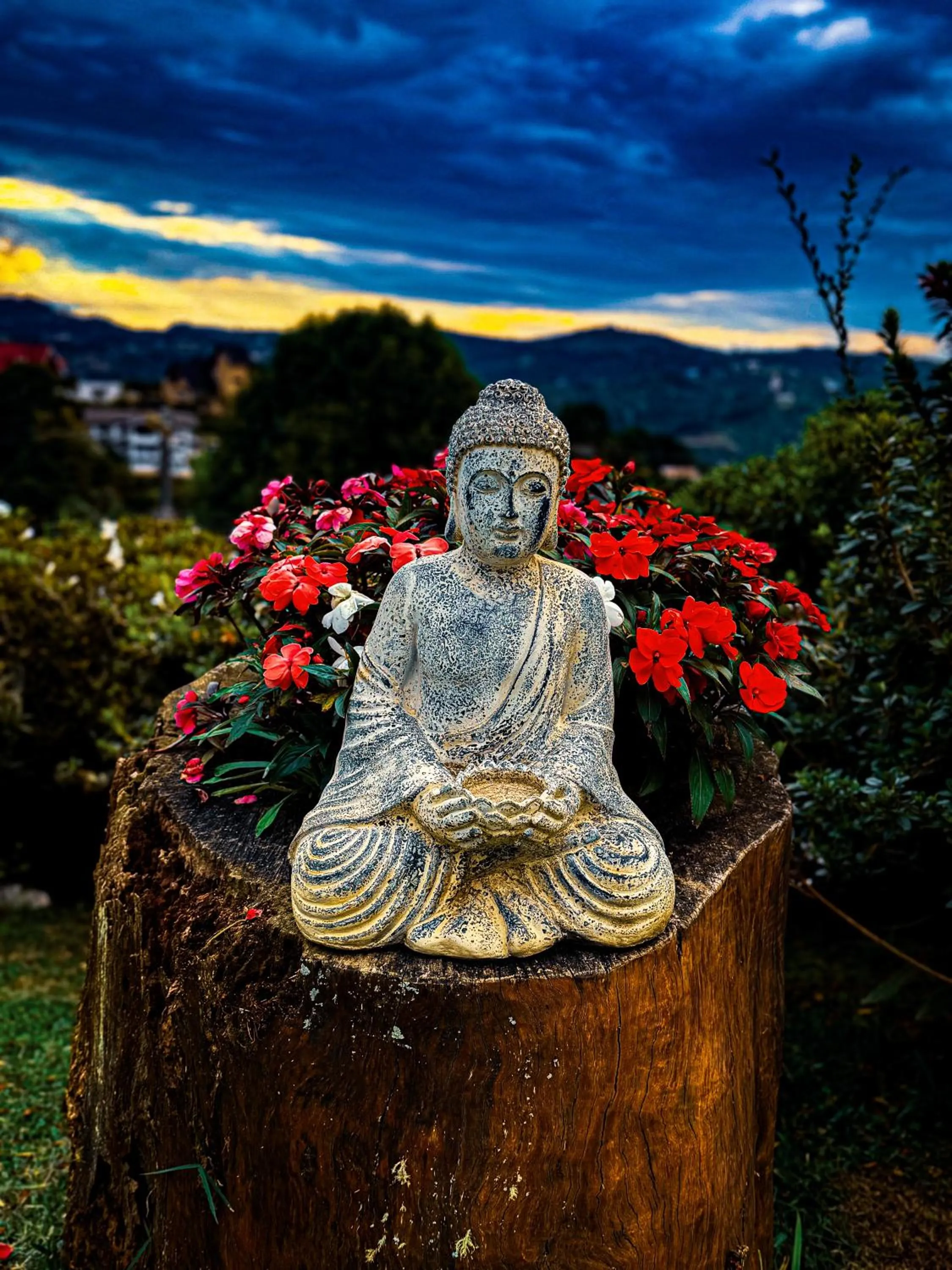 Garden view in Hotel Pousada Bella Locanda